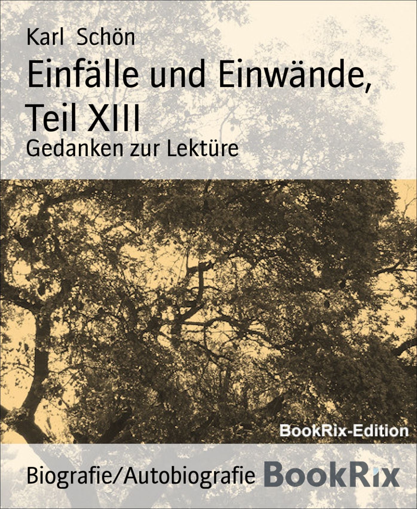 Einfälle und Einwände, Teil XIII: Gedanken zur Lektüre