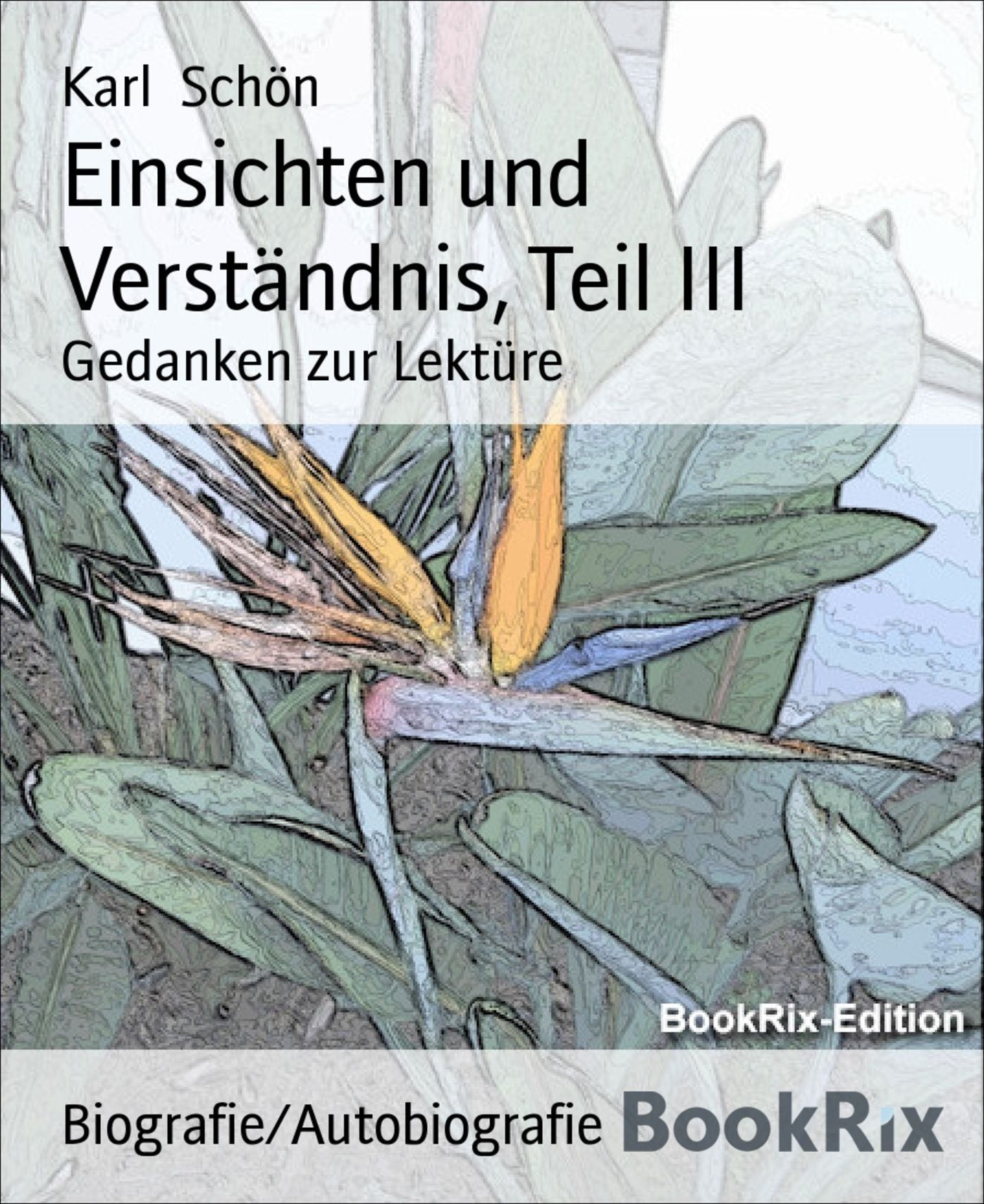 Einsichten und Verständnis, Teil III: Gedanken zur Lektüre