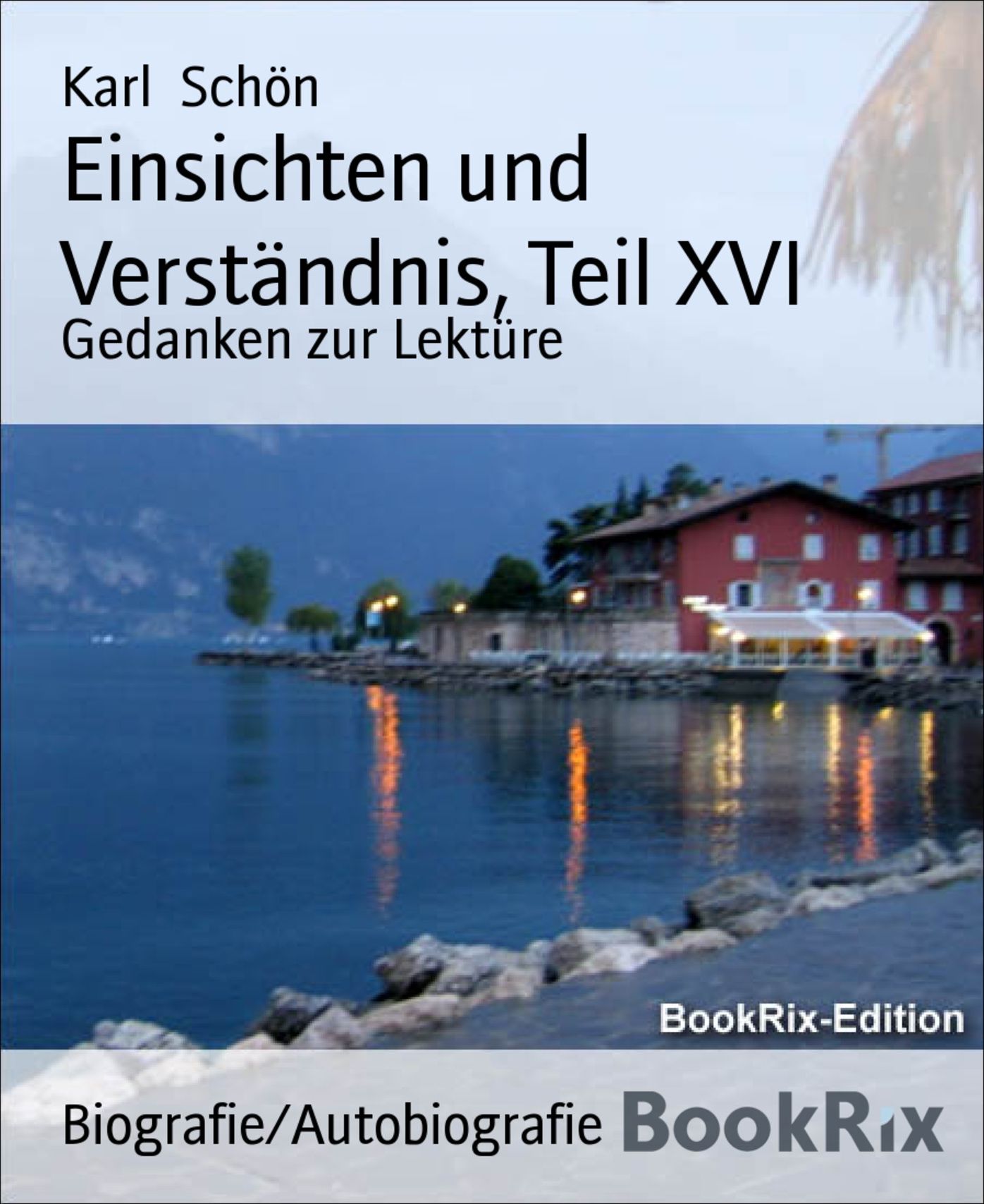 Einsichten und Verständnis, Teil XVI: Gedanken zur Lektüre