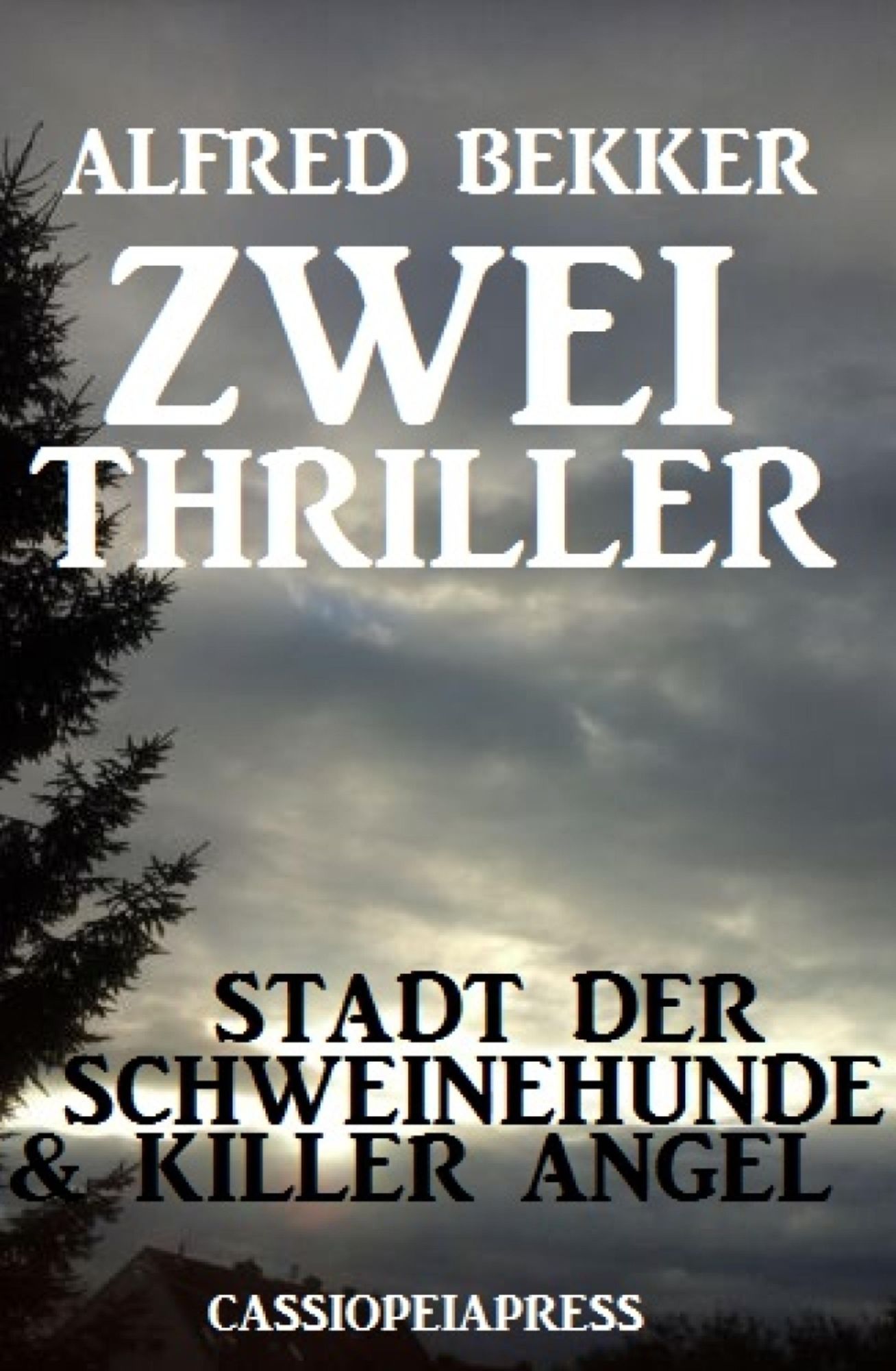 Zwei Thriller: Stadt der Schweinehunde & Killer Angel