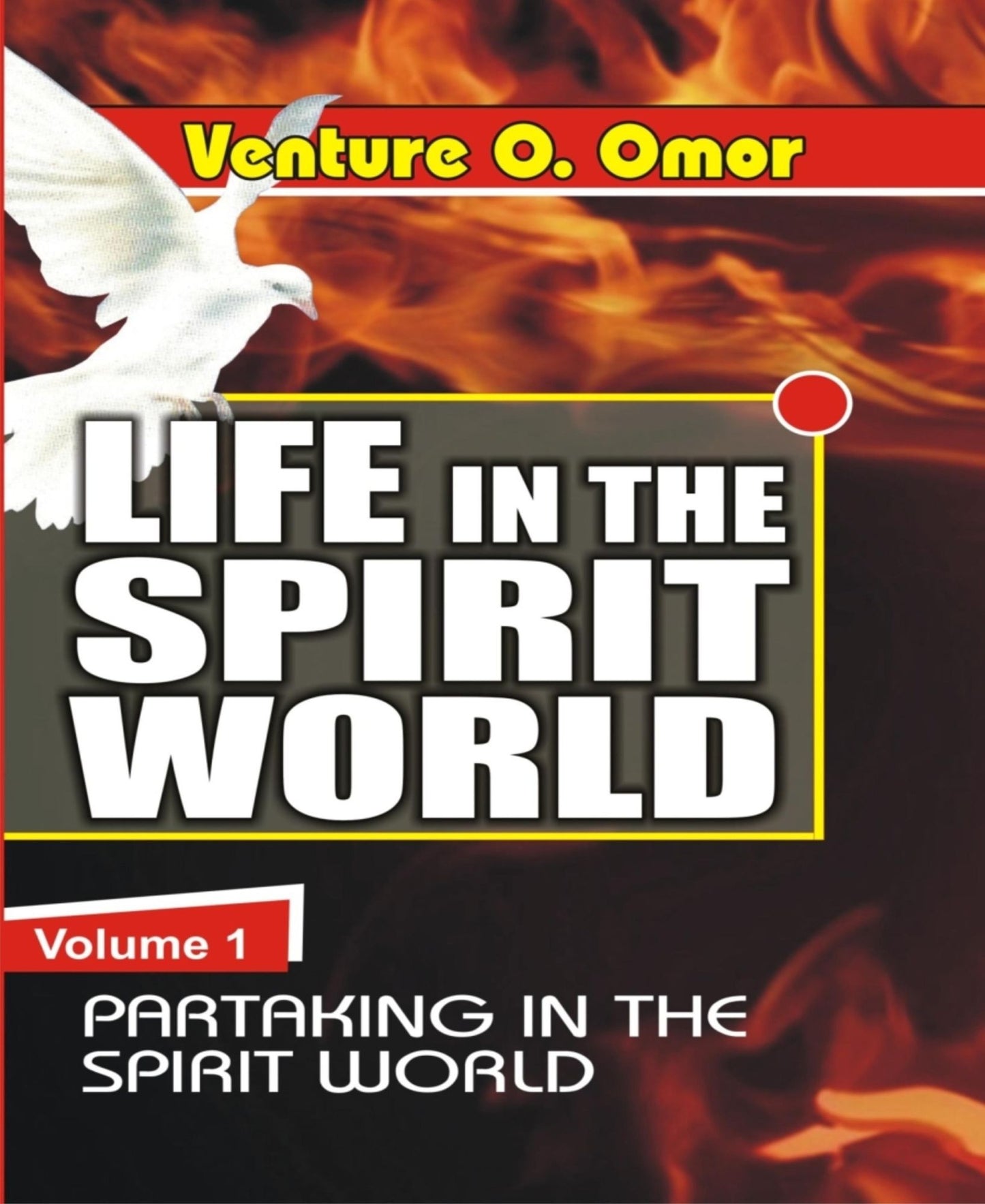 Life In The Spirit World Volume -1: Partaking In The Spirit World