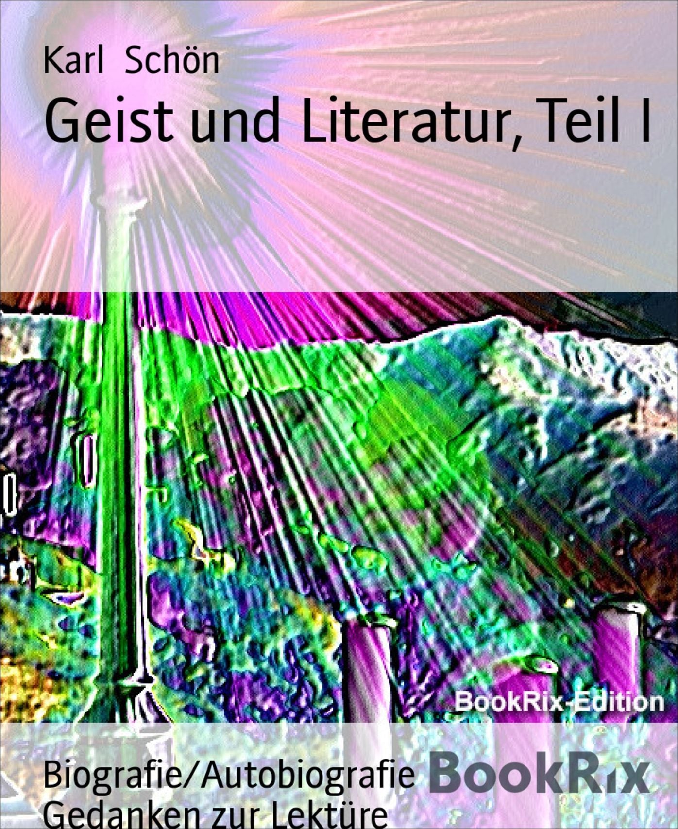 Geist und Literatur, Teil I: Gedanken zur Lektüre