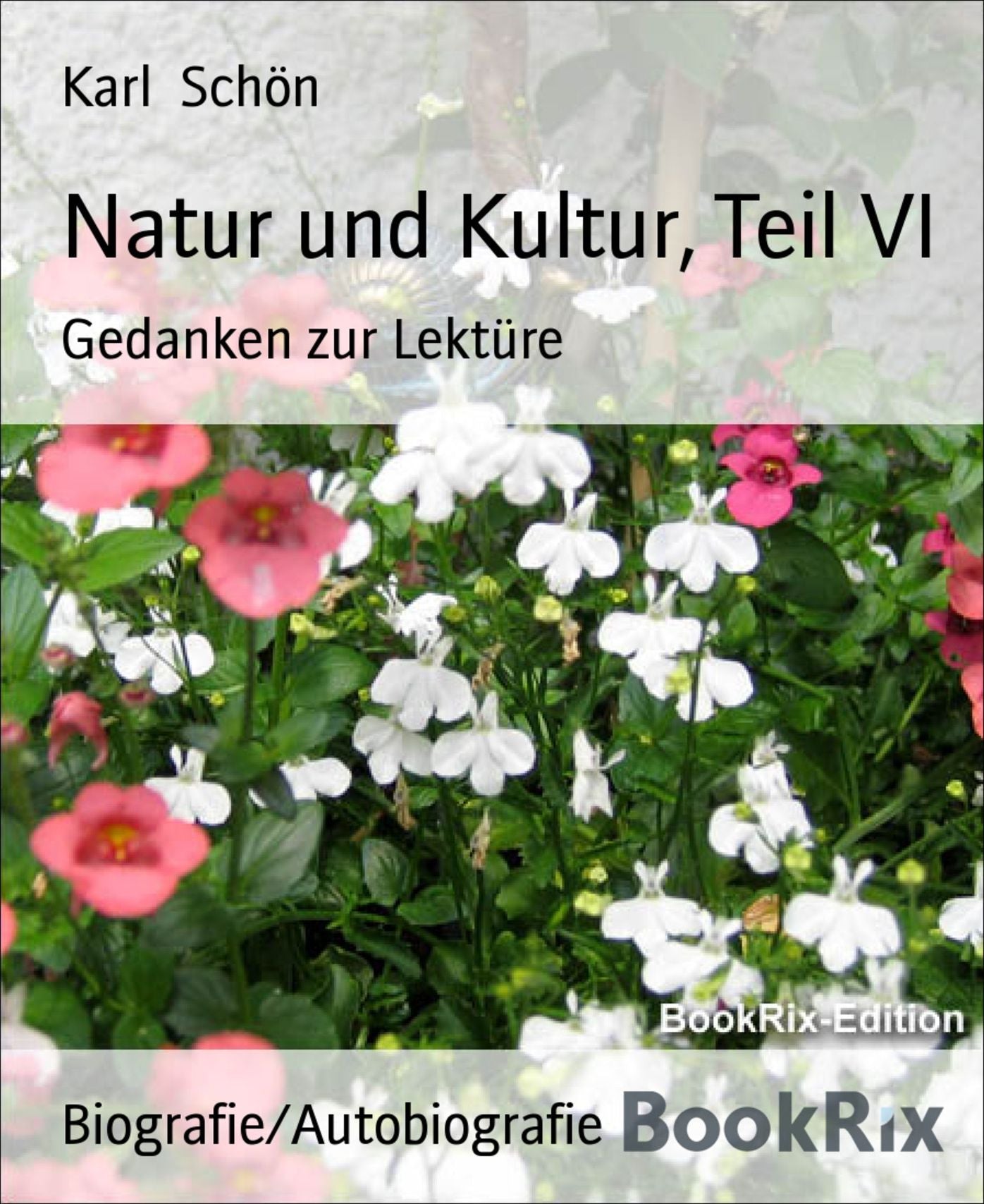 Natur und Kultur, Teil VI: Gedanken zur Lektüre