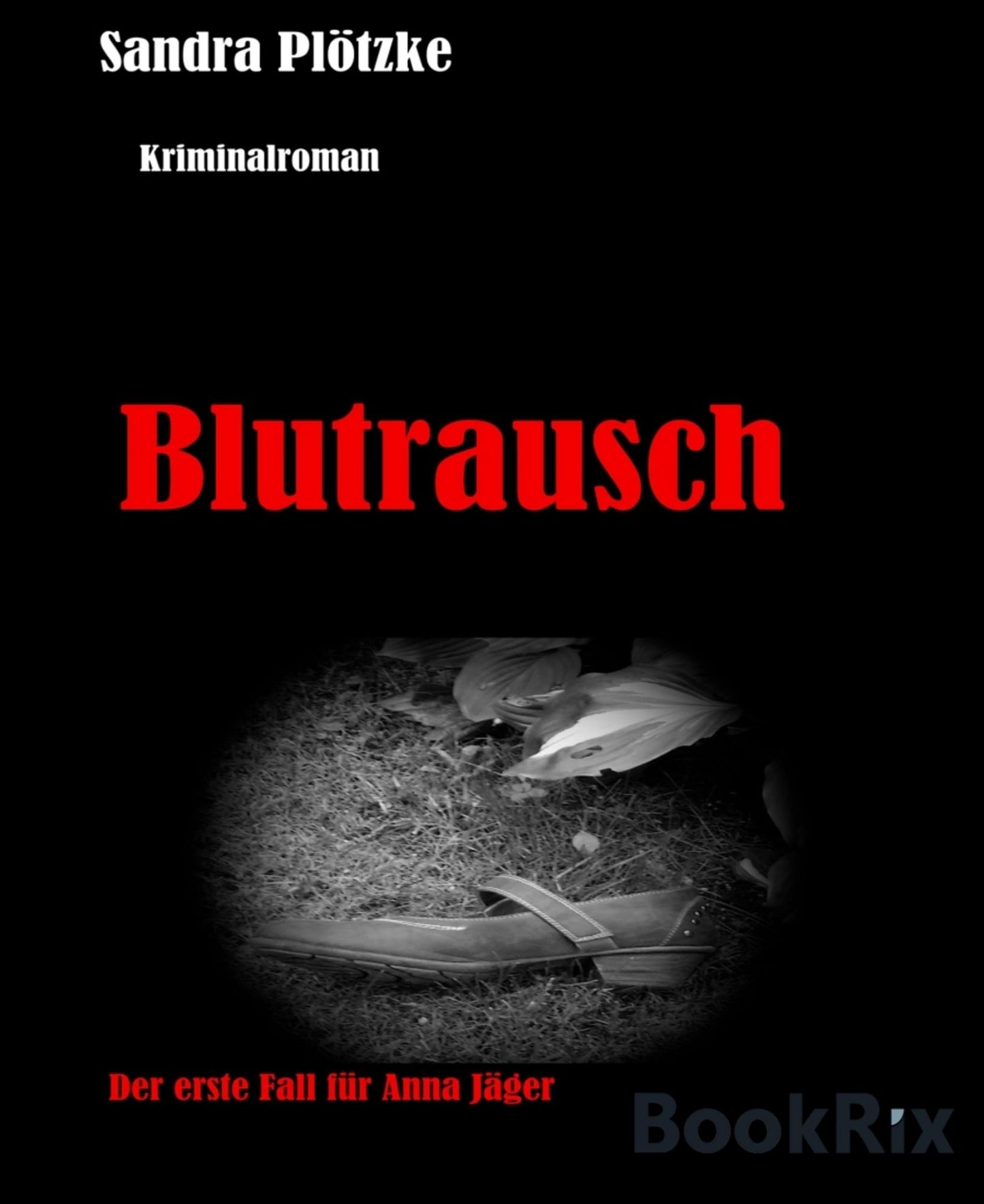 Blutrausch: Anna Jäger Reihe Band 1
