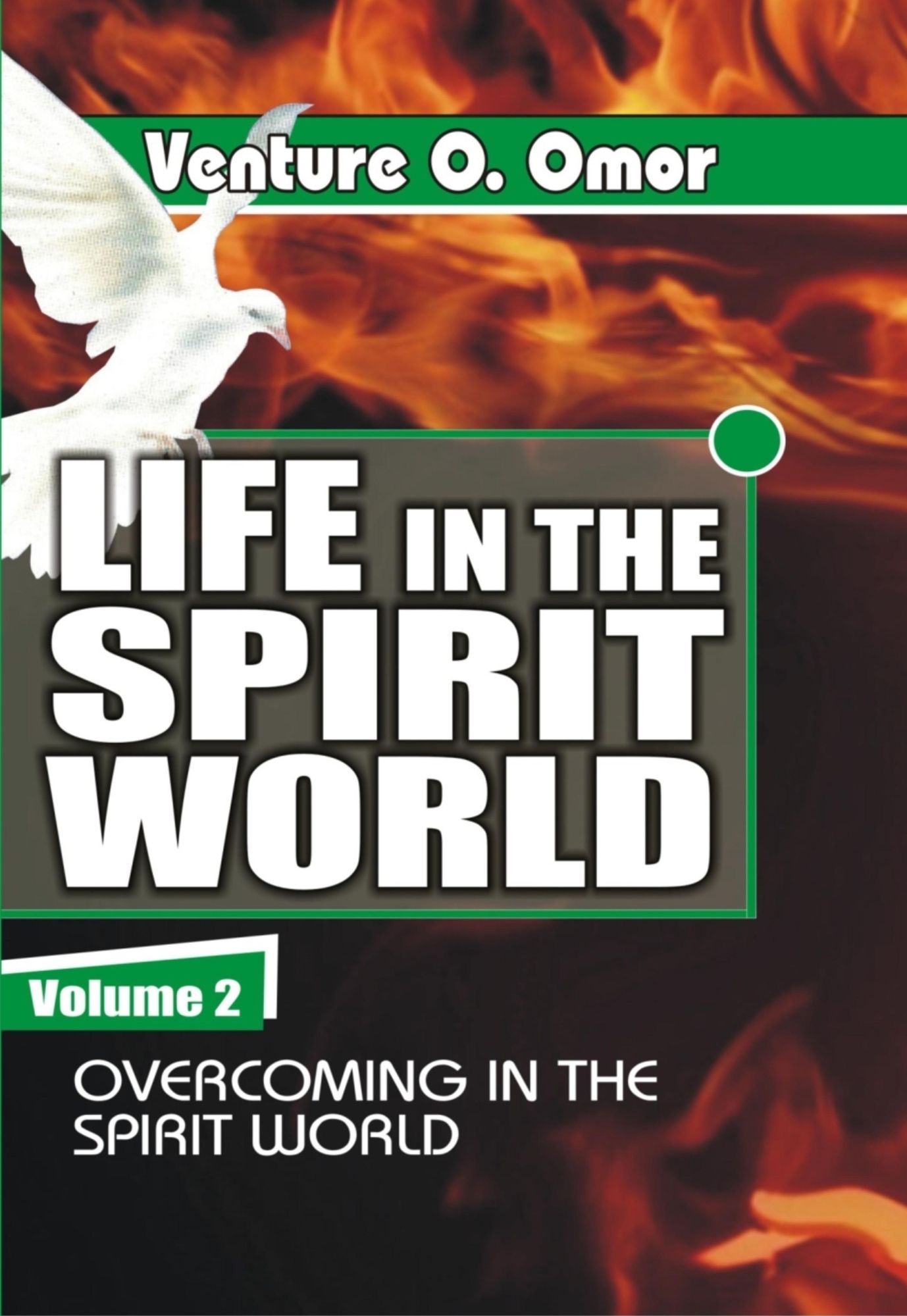 Life In The Spirit Volume -2: Overcoming In The Spirit World