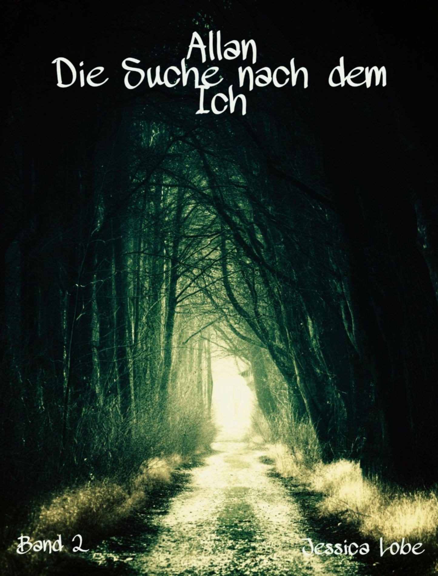 Allan - Die Suche nach dem Ich (Band 2)