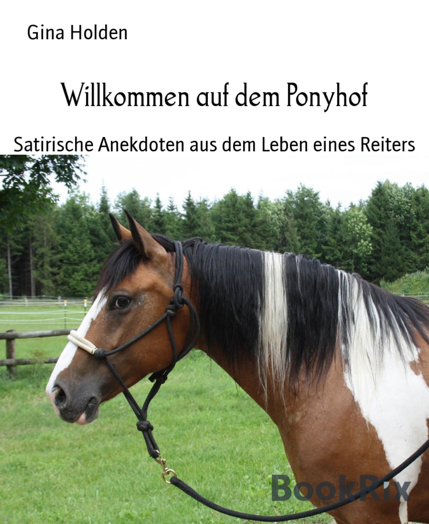 Willkommen auf dem Ponyhof: Satirische Anekdoten aus dem Leben eines Reiters