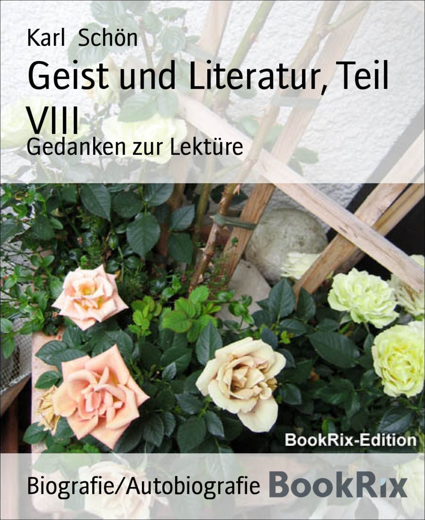Geist und Literatur, Teil VIII: Gedanken zur Lektüre