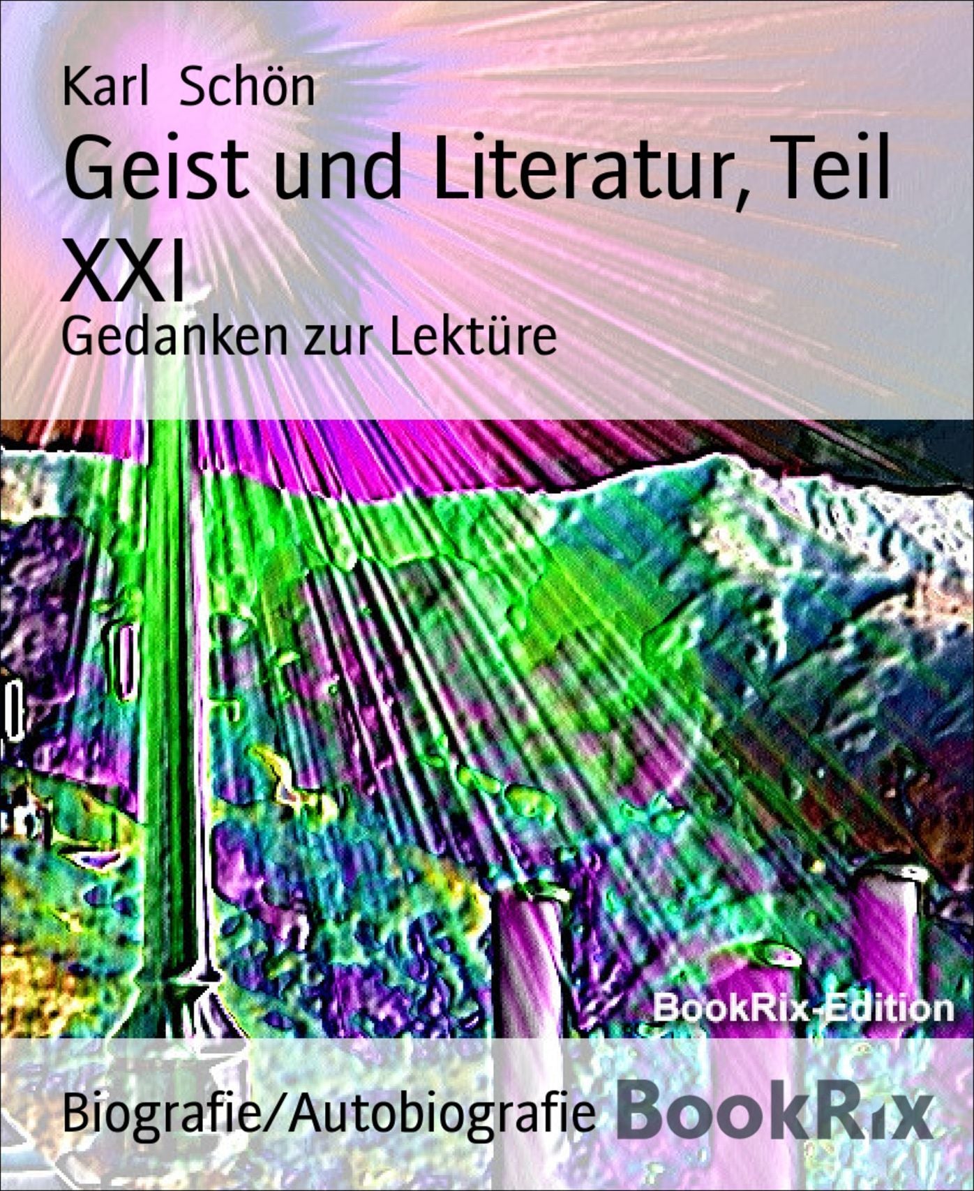 Geist und Literatur, Teil XXI: Gedanken zur Lektüre