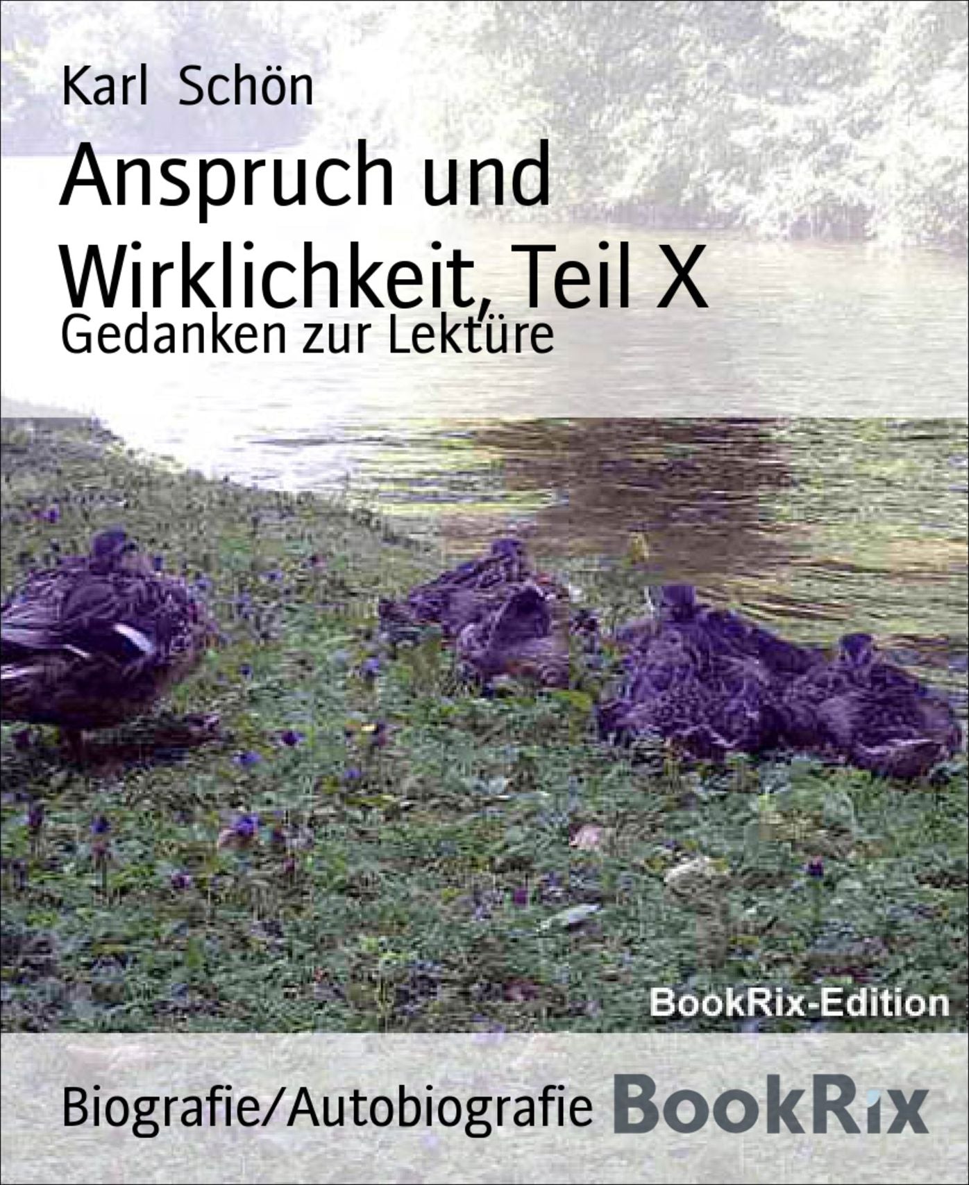 Anspruch und Wirklichkeit, Teil X: Gedanken zur Lektüre
