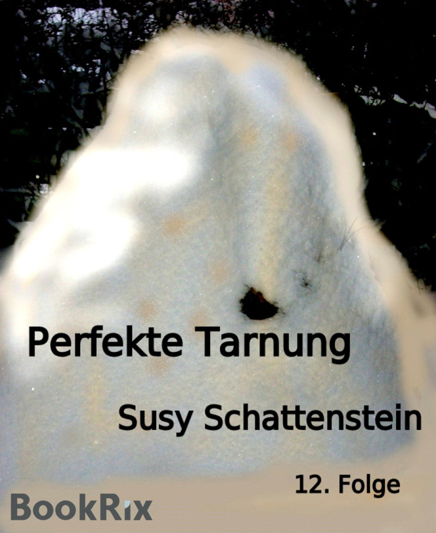 Perfekte Tarnung: 12. Folge