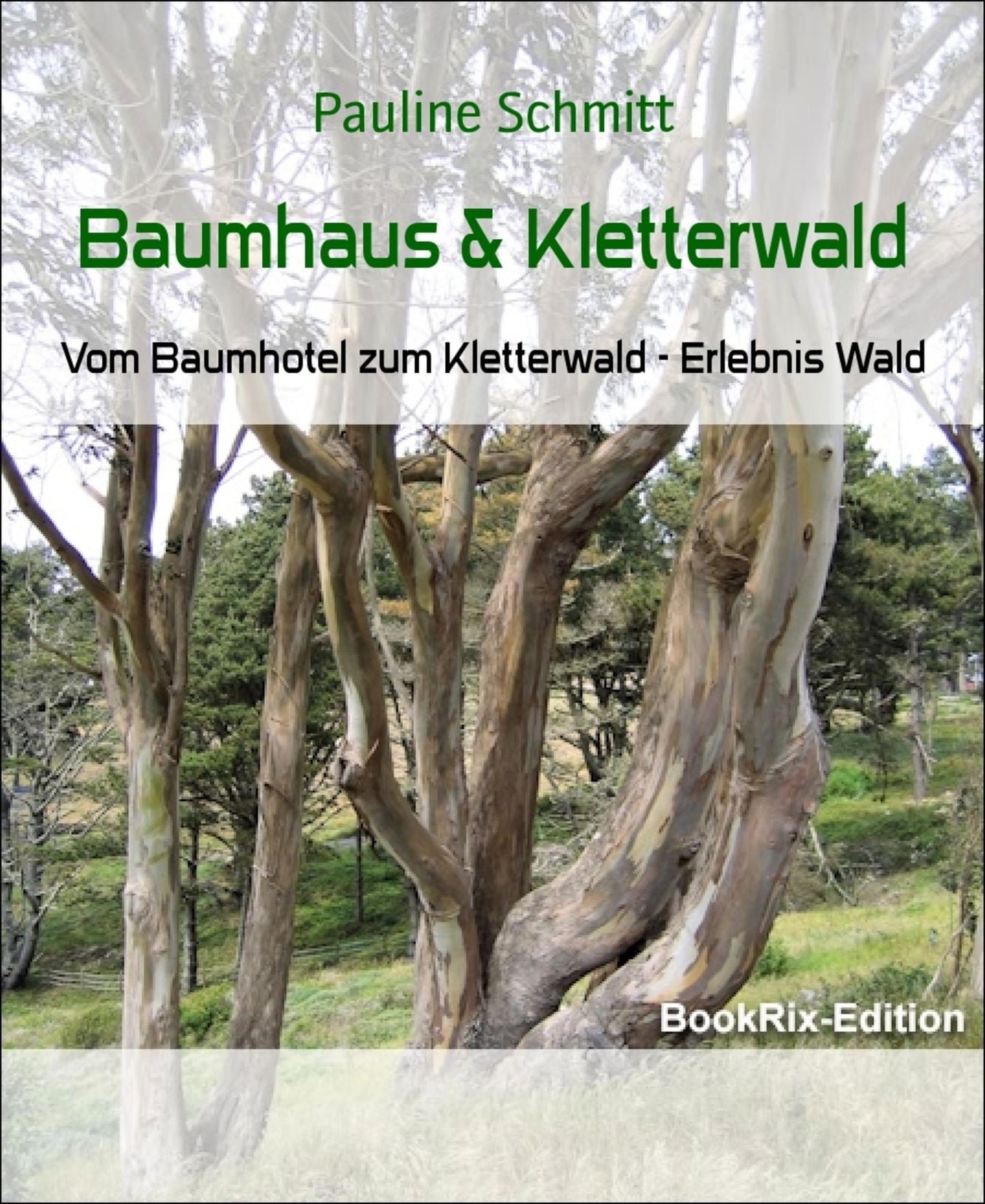 Baumhaus & Kletterwald: Vom Baumhotel zum Kletterwald - Erlebnis Wald