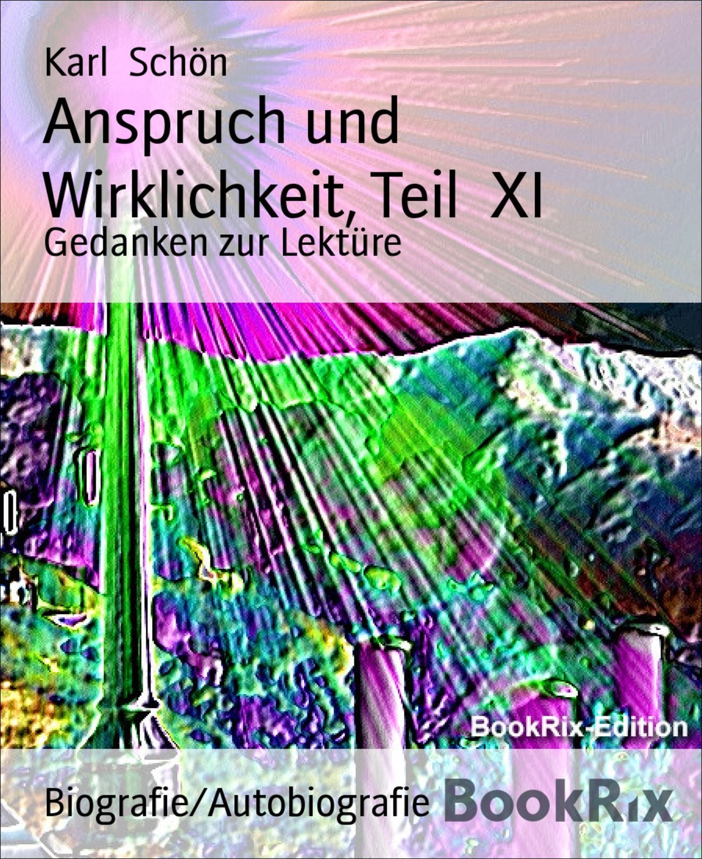 Anspruch und Wirklichkeit, Teil XI: Gedanken zur Lektüre