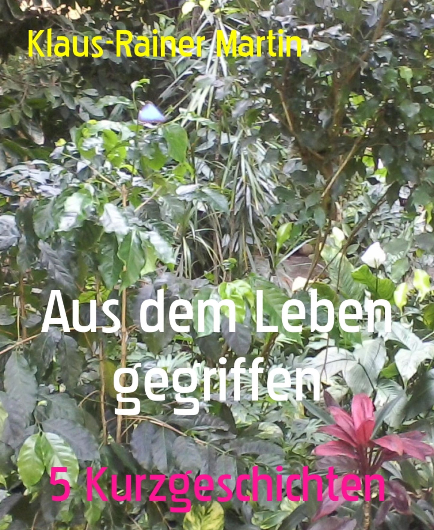 Aus dem Leben gegriffen: 5 Kurzgeschichten