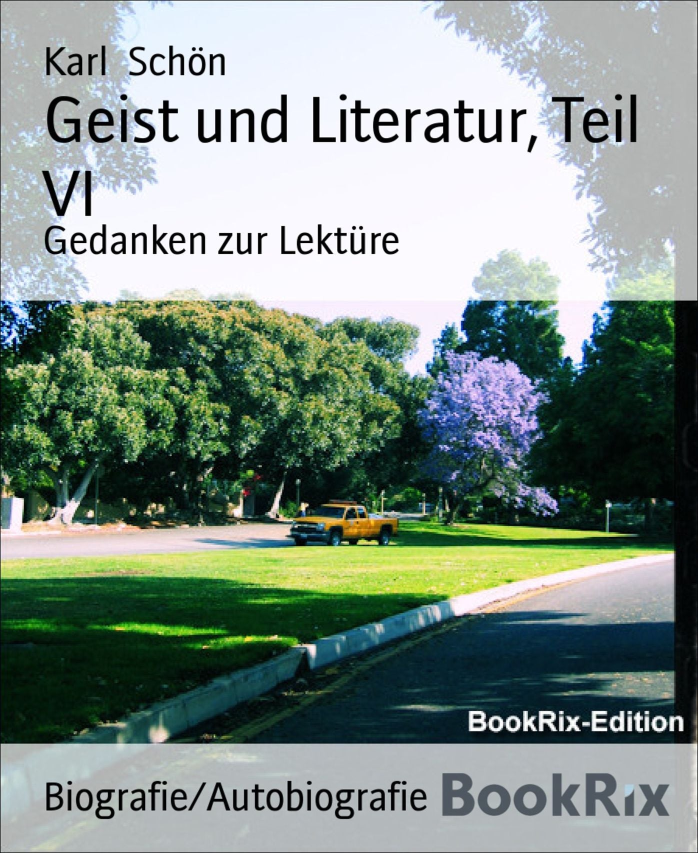 Geist und Literatur, Teil VI: Gedanken zur Lektüre