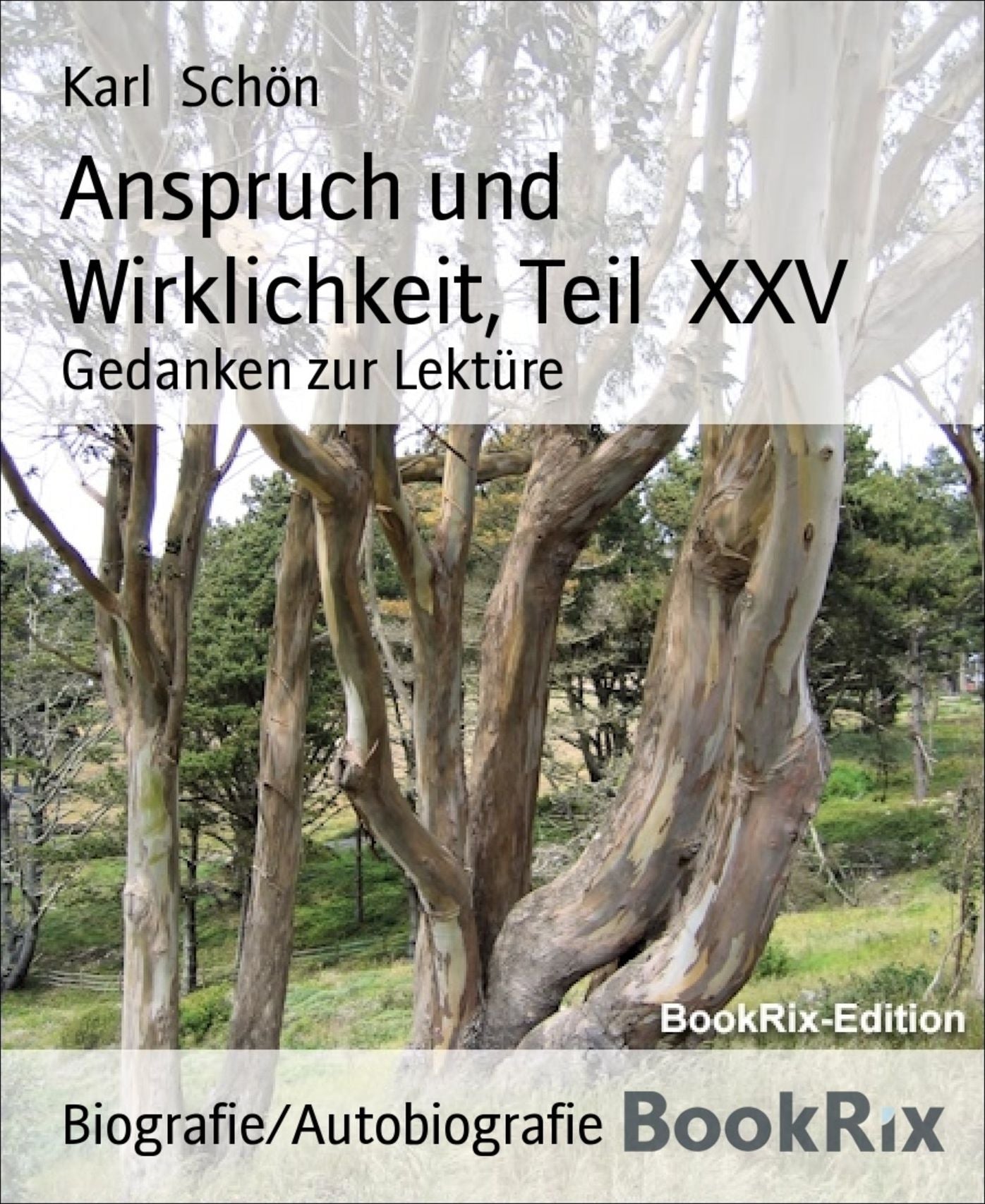 Anspruch und Wirklichkeit, Teil XXV: Gedanken zur Lektüre