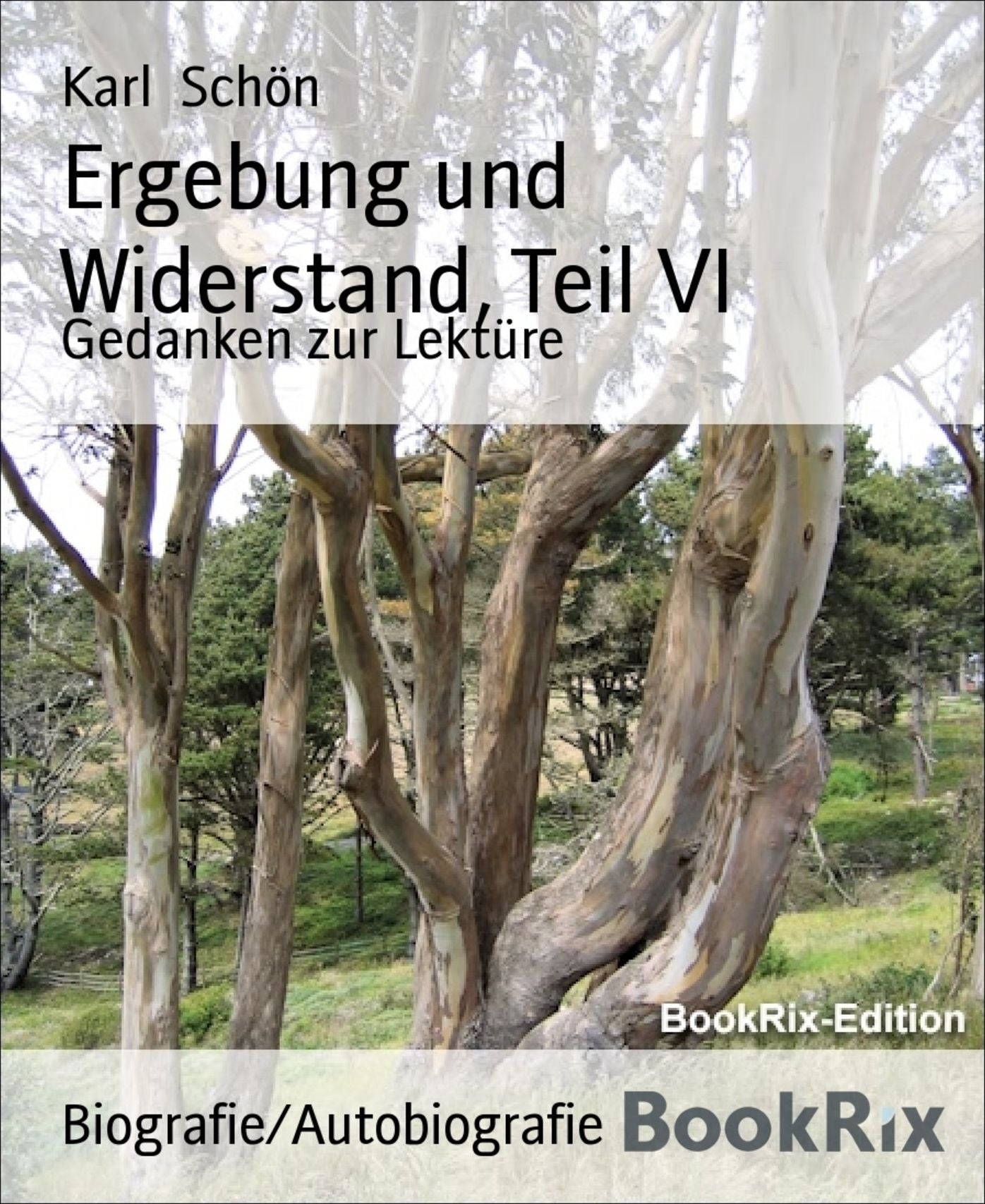 Ergebung und Widerstand, Teil VI: Gedanken zur Lektüre
