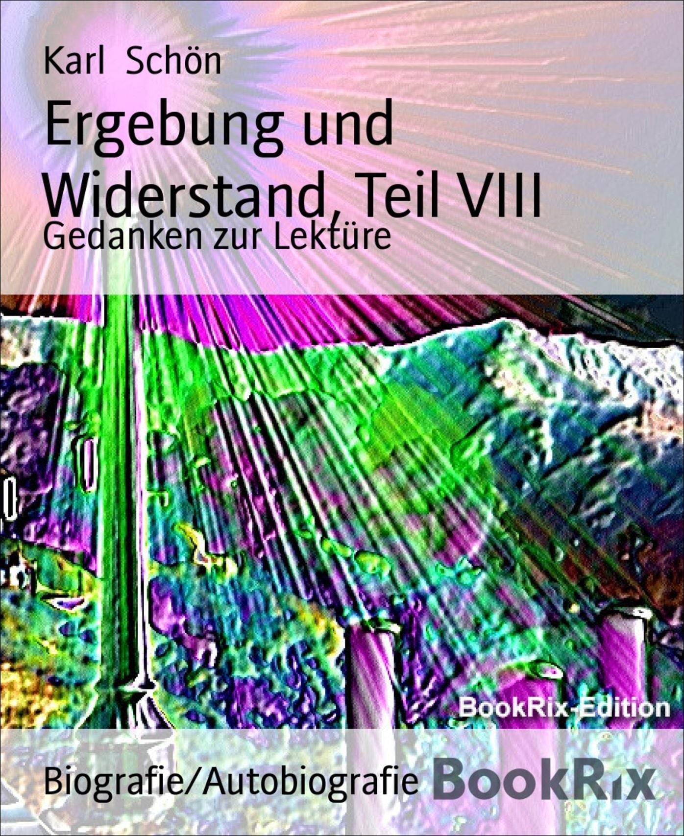 Ergebung und Widerstand, Teil VIII: Gedanken zur Lektüre