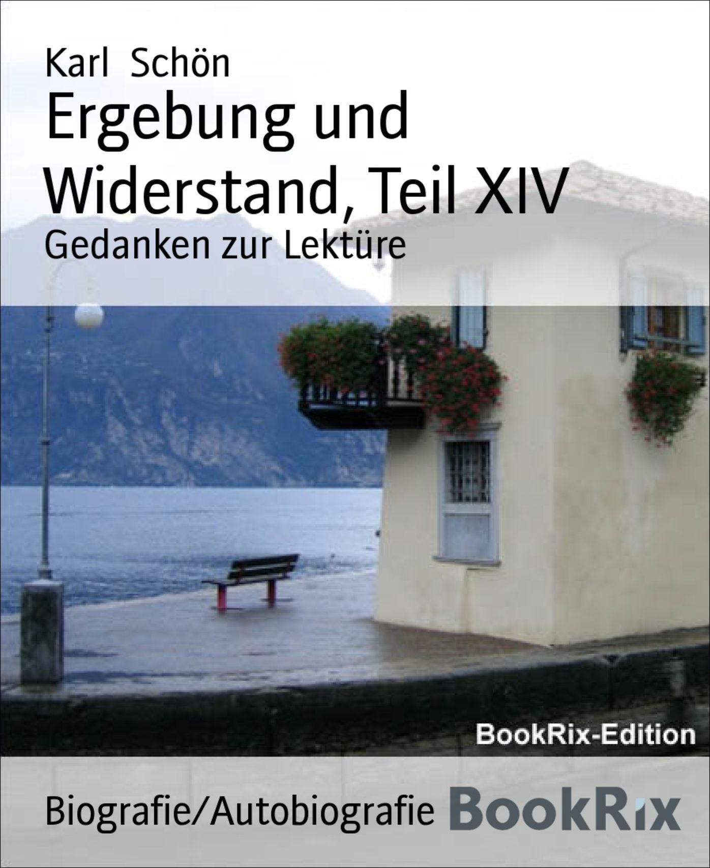 Ergebung und Widerstand, Teil XIV: Gedanken zur Lektüre