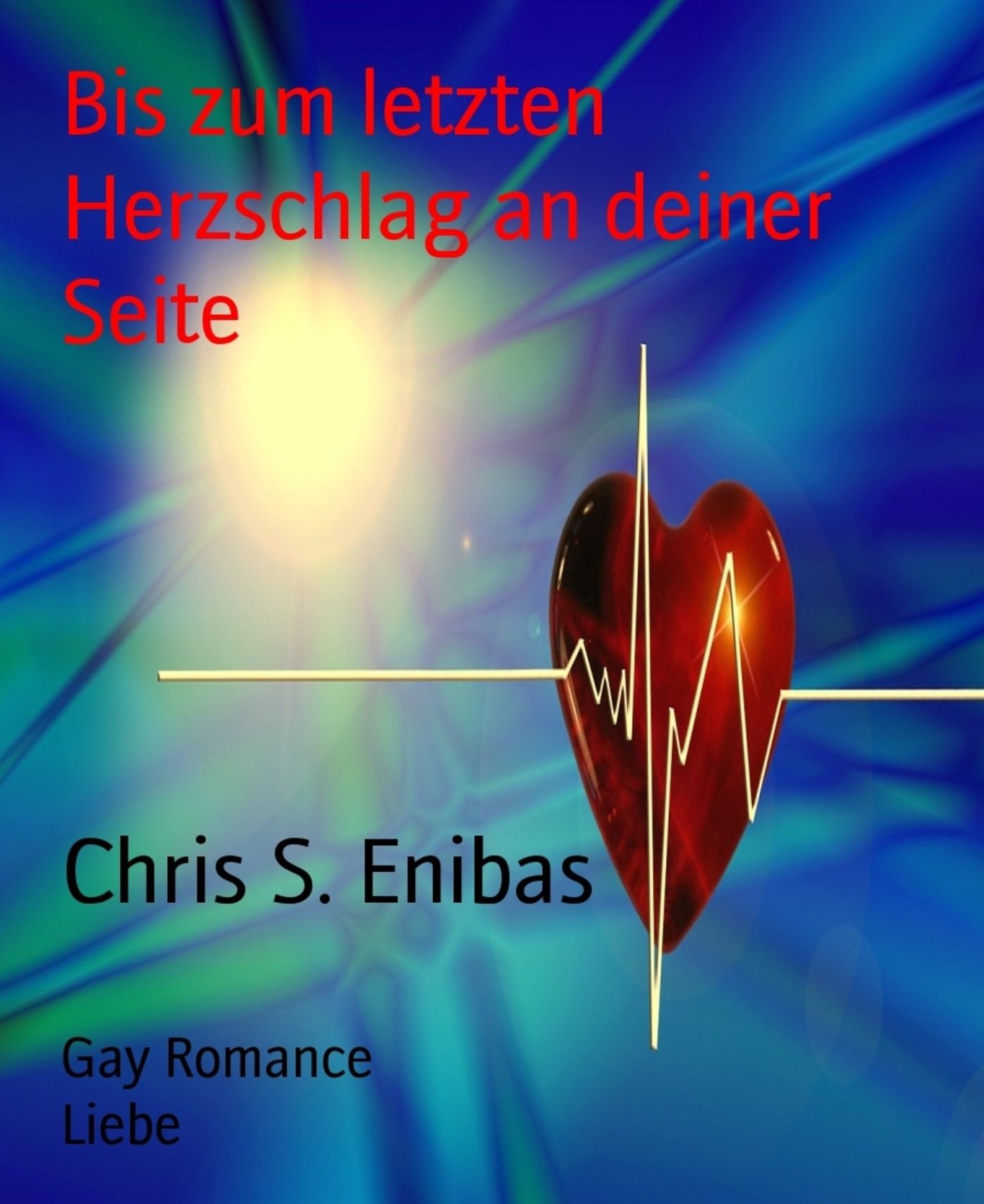 Bis zum letzten Herzschlag an deiner Seite: Gay Romance