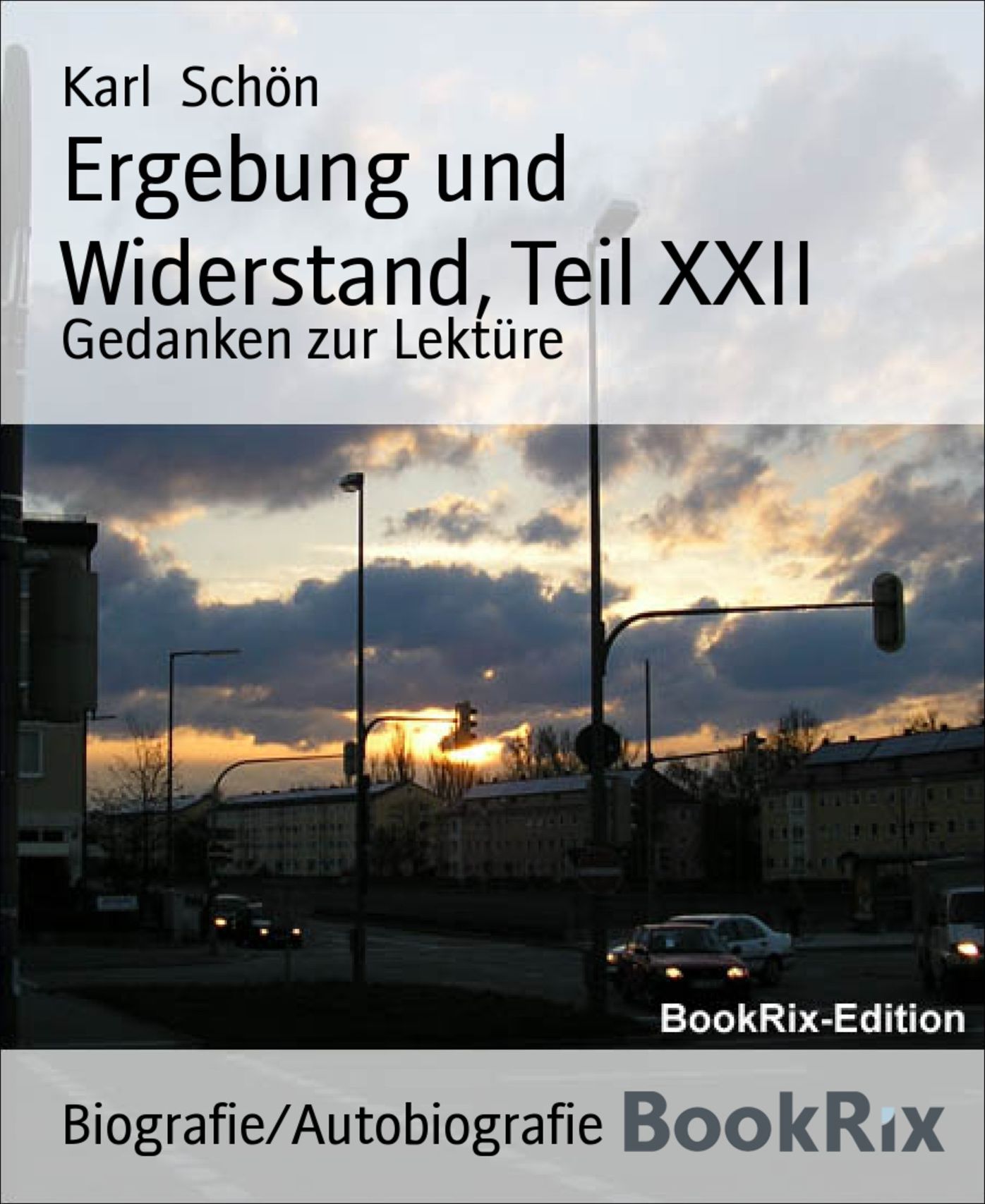 Ergebung und Widerstand, Teil XXII: Gedanken zur Lektüre