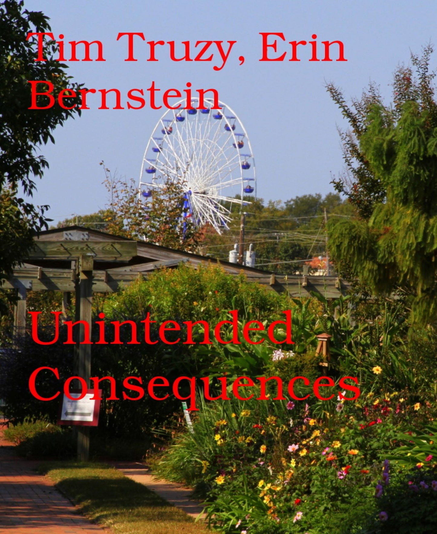 Unintended Consequences