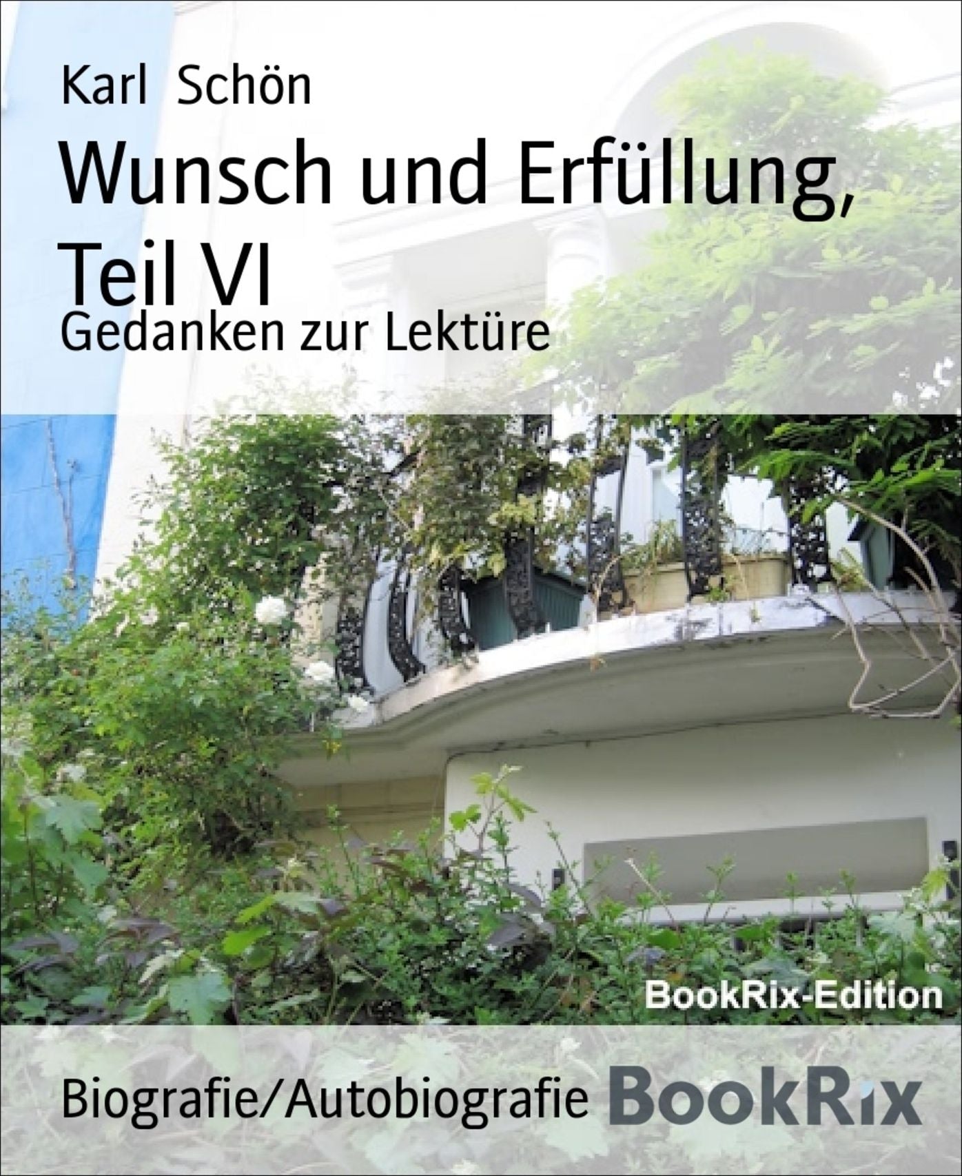 Wunsch und Erfüllung, Teil VI: Gedanken zur Lektüre