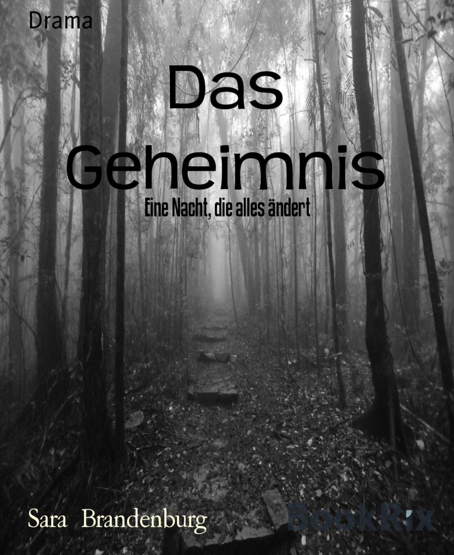 Das Geheimnis: Eine Nacht, die alles ändert