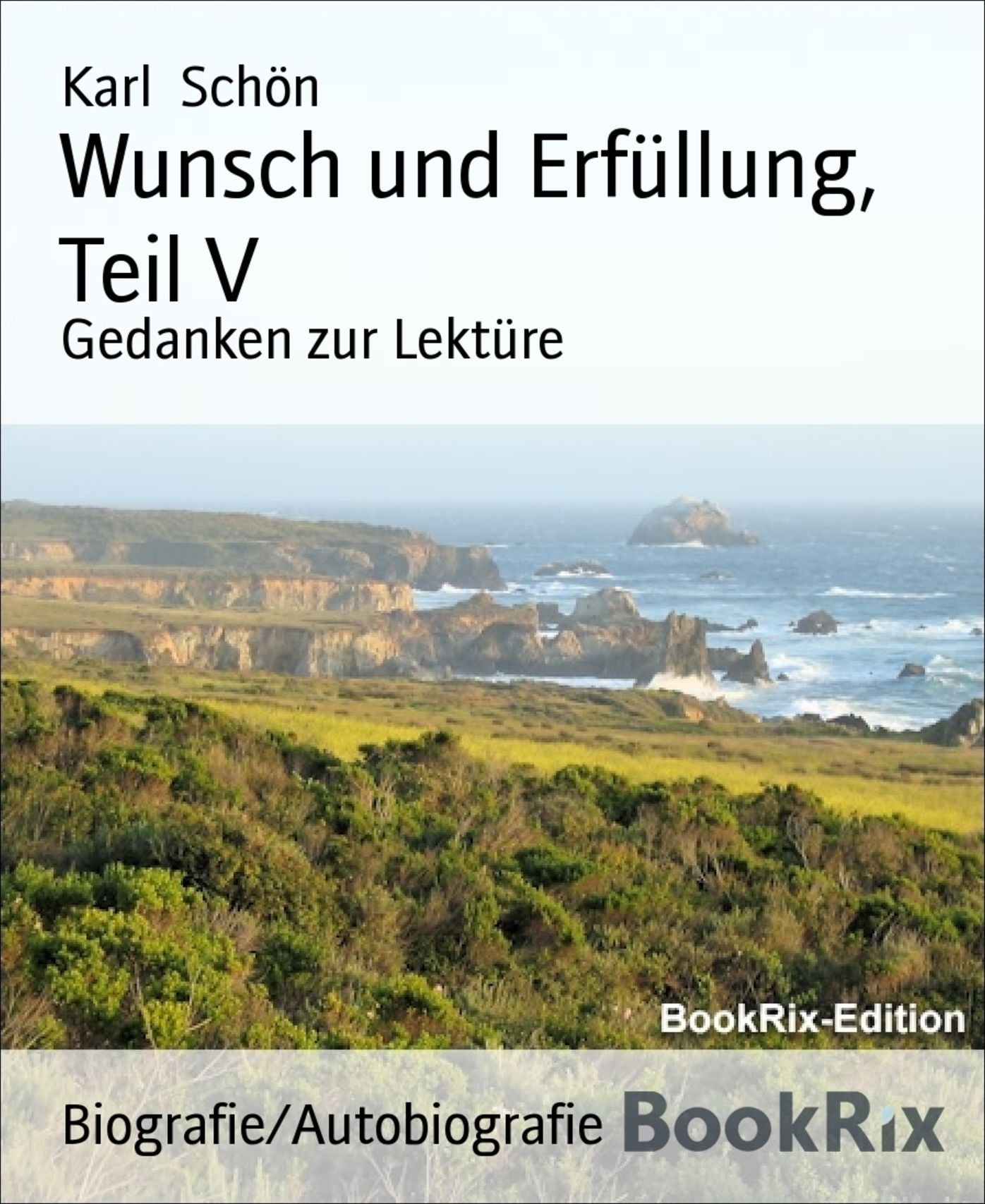 Wunsch und Erfüllung, Teil V: Gedanken zur Lektüre