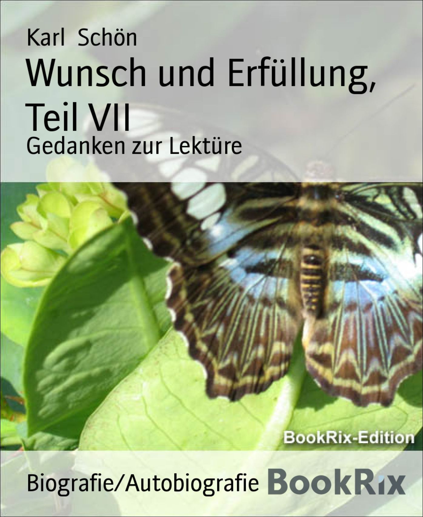 Wunsch und Erfüllung, Teil VII: Gedanken zur Lektüre