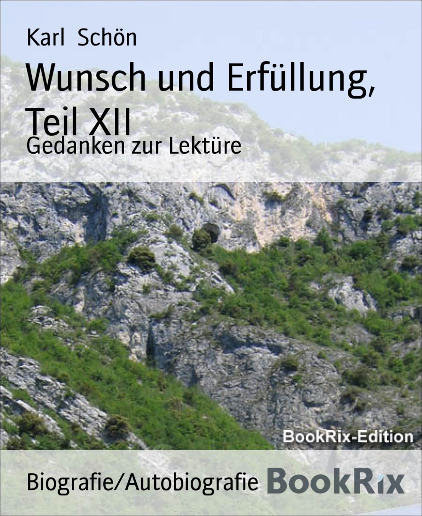 Wunsch und Erfüllung, Teil XII: Gedanken zur Lektüre