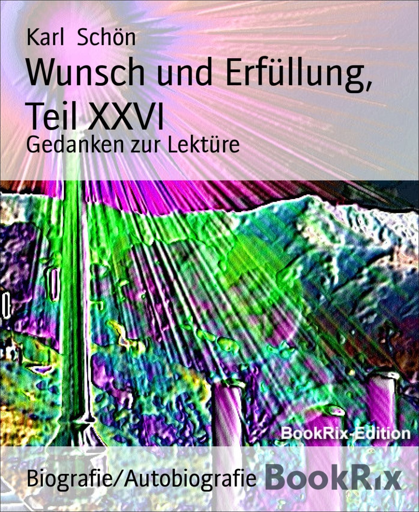 Wunsch und Erfüllung, Teil XXVI: Gedanken zur Lektüre