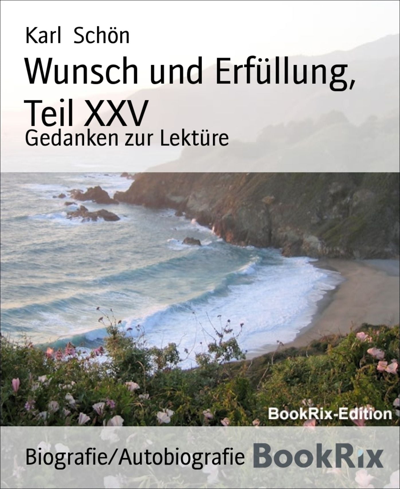 Wunsch und Erfüllung, Teil XXV: Gedanken zur Lektüre