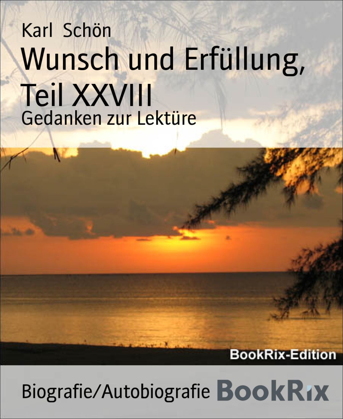 Wunsch und Erfüllung, Teil XXVIII: Gedanken zur Lektüre