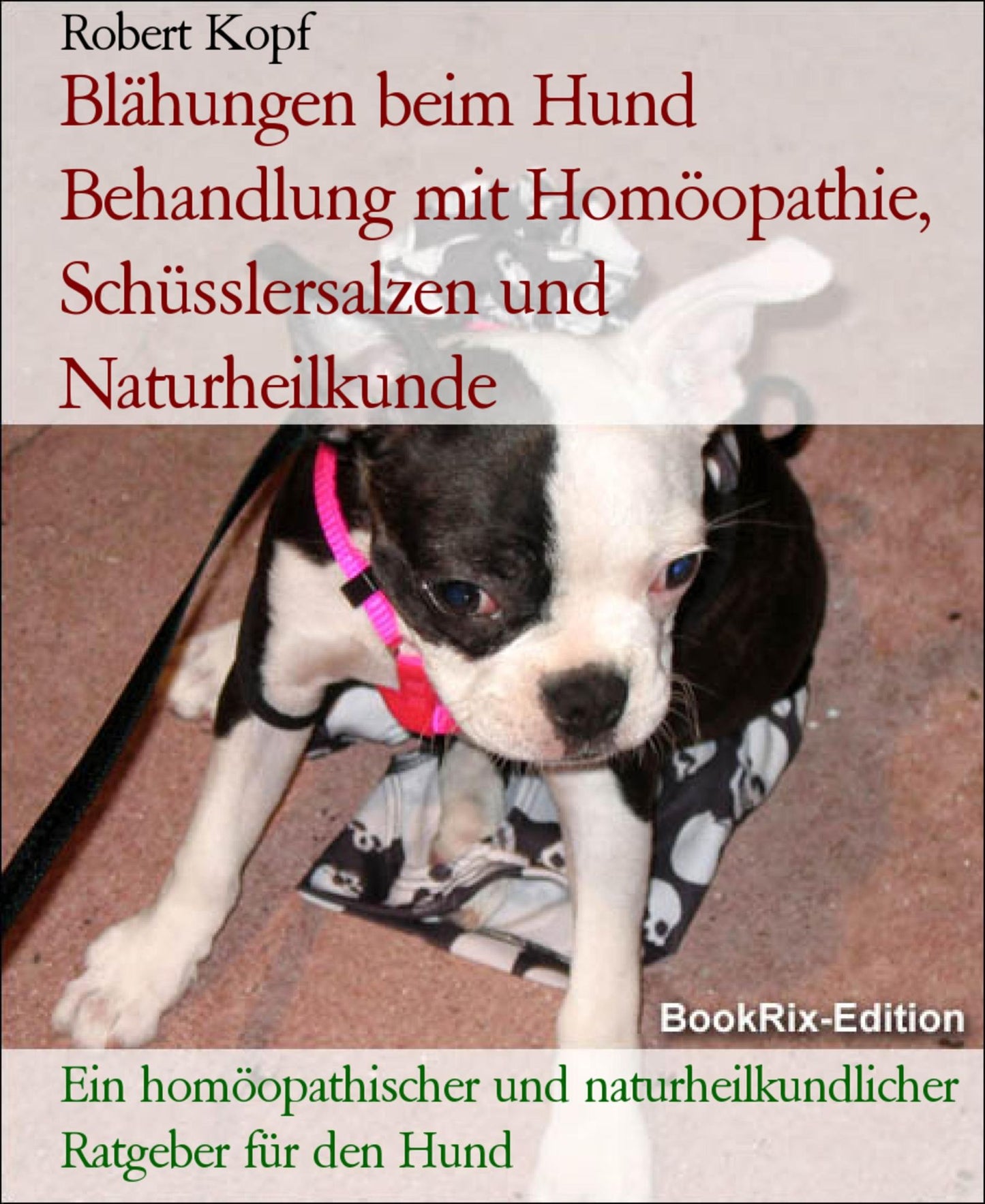 Blähungen beim Hund - Flatulenz, Meteorismus behandeln mit Homöopathie, Schüsslersalzen (Biochemie) und Naturheilkunde: Ein homöopathischer, biochemischer und naturheilkundlicher Ratgeber für den Hund