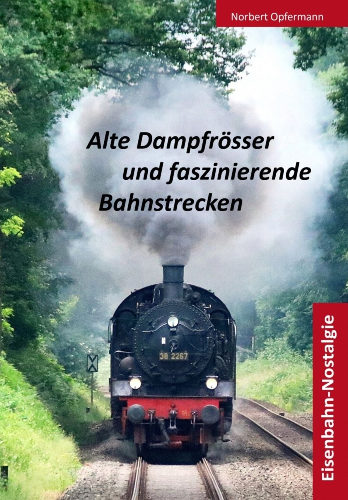Eisenbahn-Nostalgie: Alte Dampfrösser und faszinierende Bahnstrecken