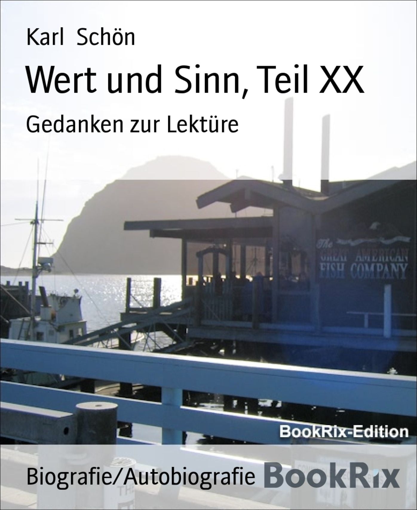 Wert und Sinn, Teil XX: Gedanken zur Lektüre