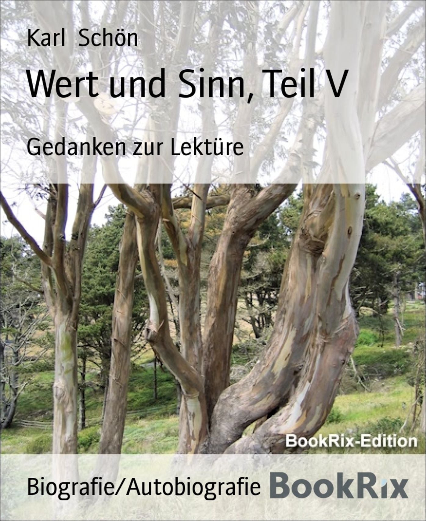 Wert und Sinn, Teil V: Gedanken zur Lektüre
