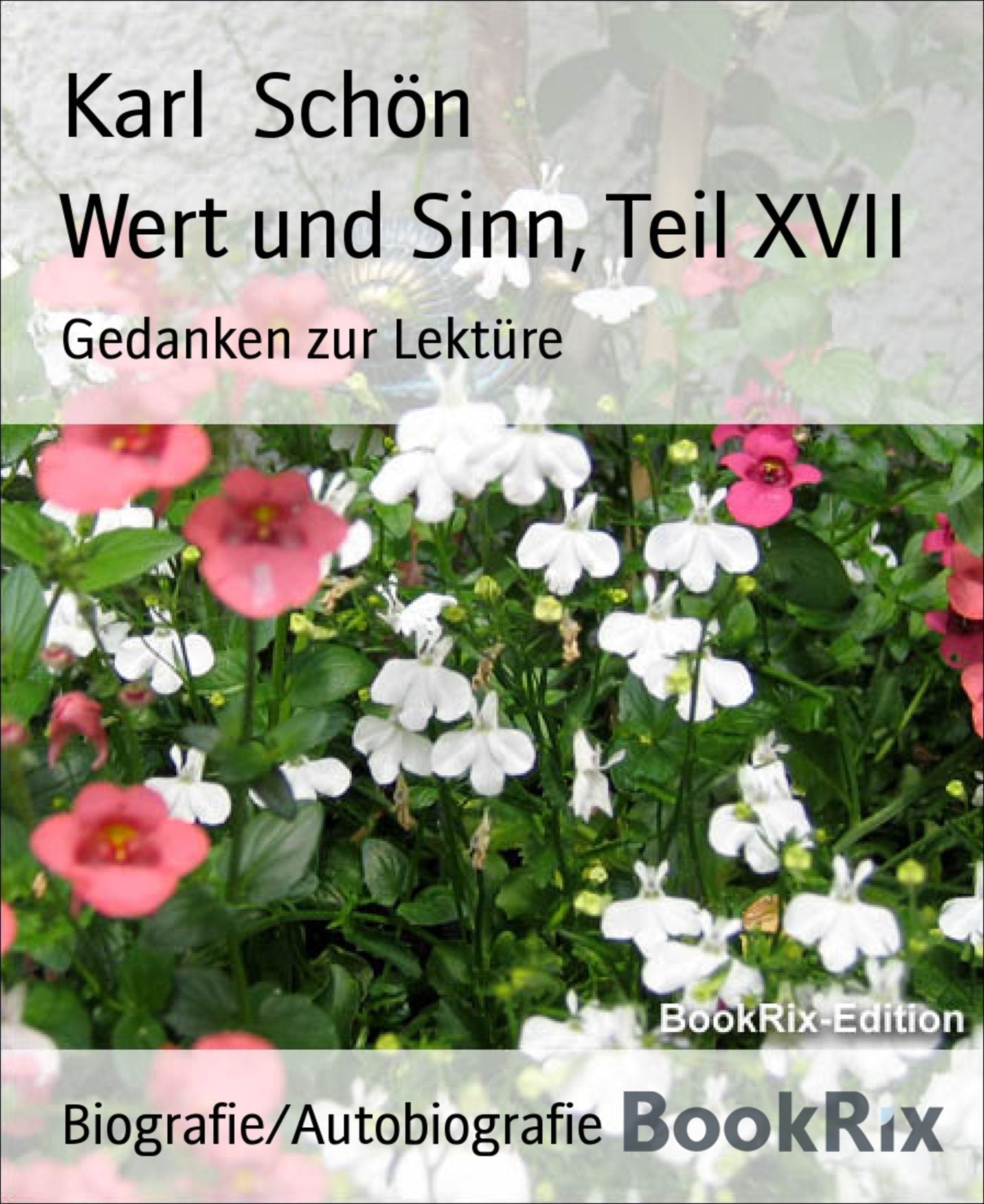 Wert und Sinn, Teil XVII: Gedanken zur Lektüre