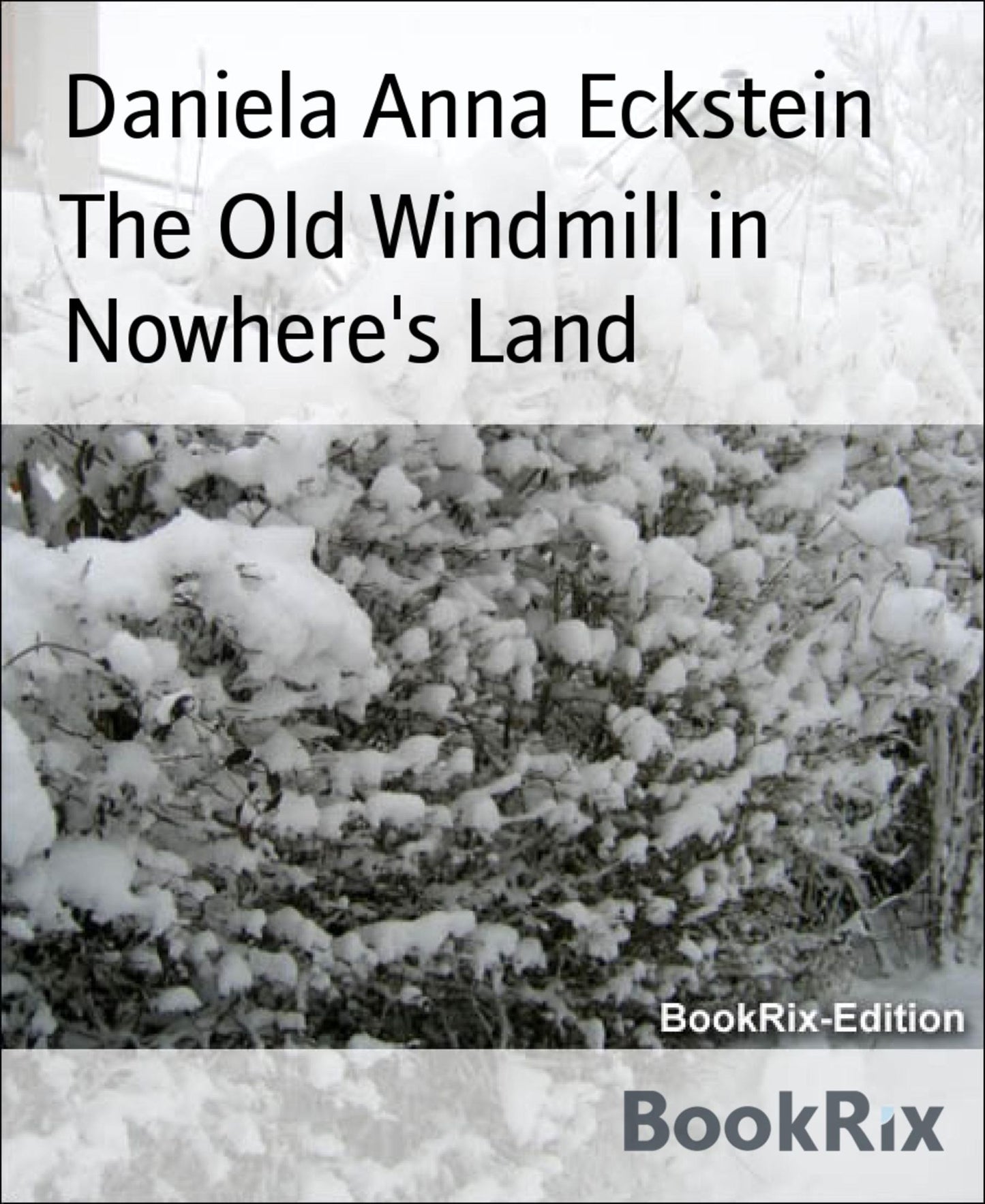 The Old Windmill in Nowhere's Land: A Christmas Carol
