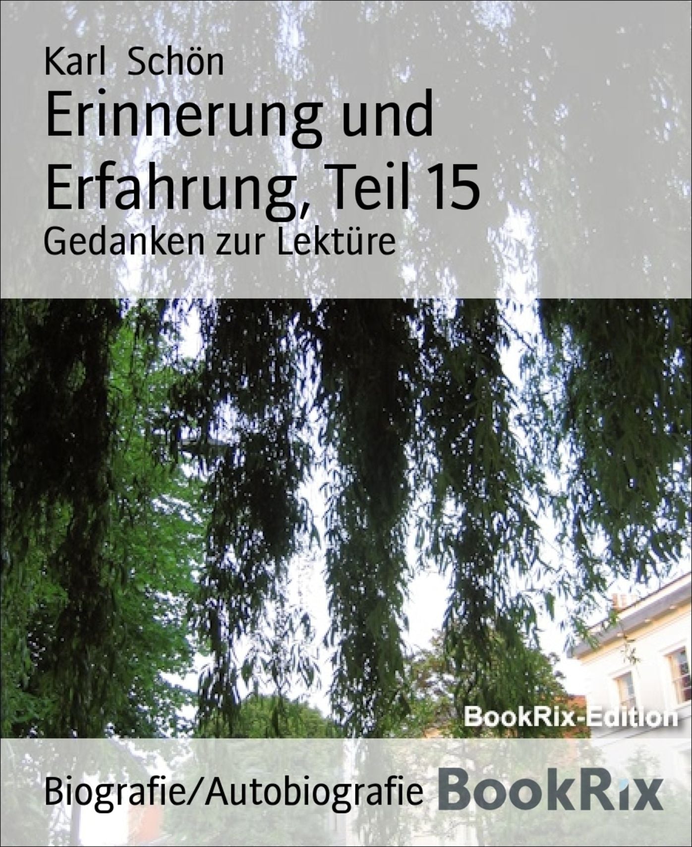 Erinnerung und Erfahrung, Teil 15: Gedanken zur Lektüre