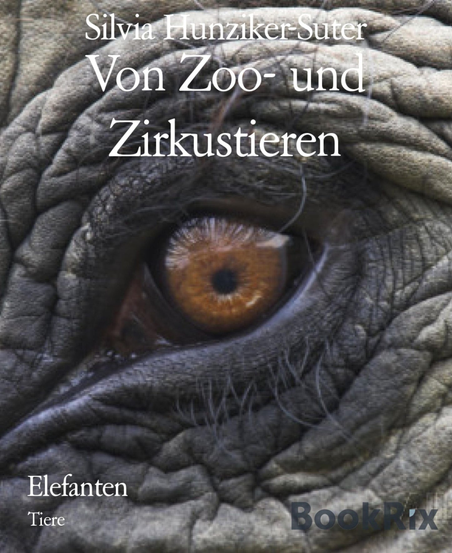 Von Zoo- und Zirkustieren: Elefanten