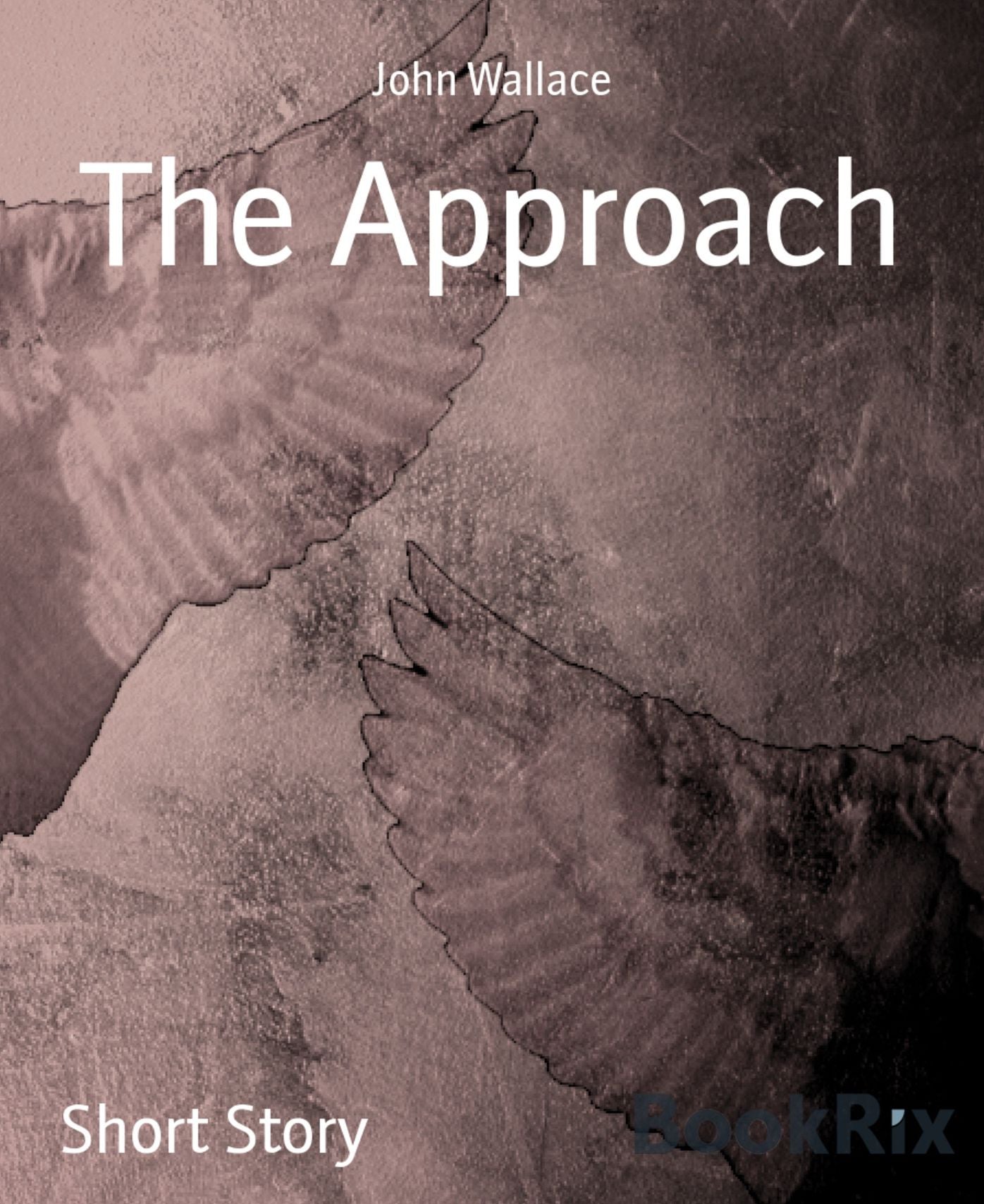 The Approach