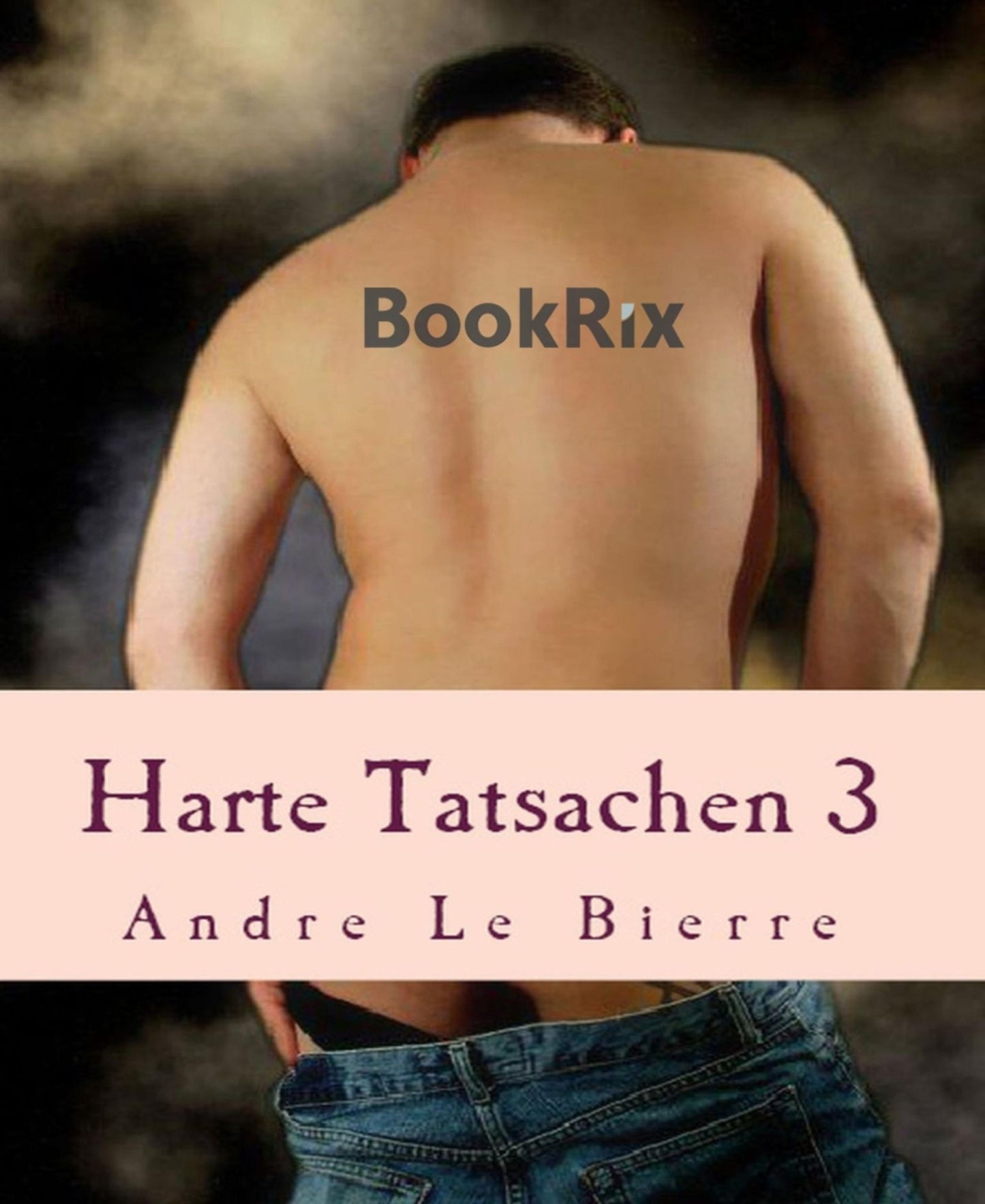 Harte Tatsachen 3: Schwule Erotikgeschichten