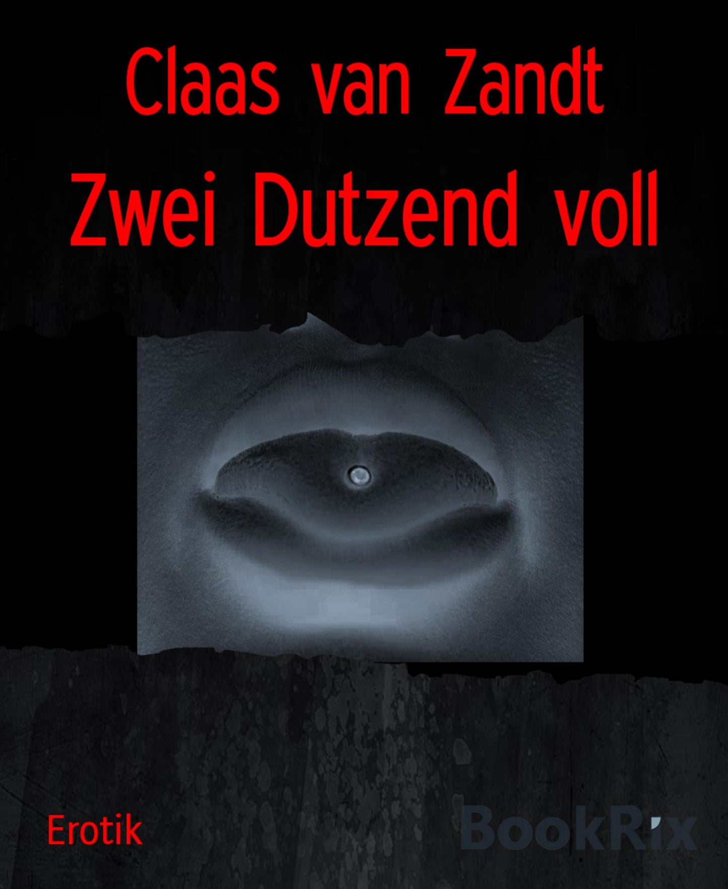 Zwei Dutzend voll: BDSM-Jubiläumssammelband
