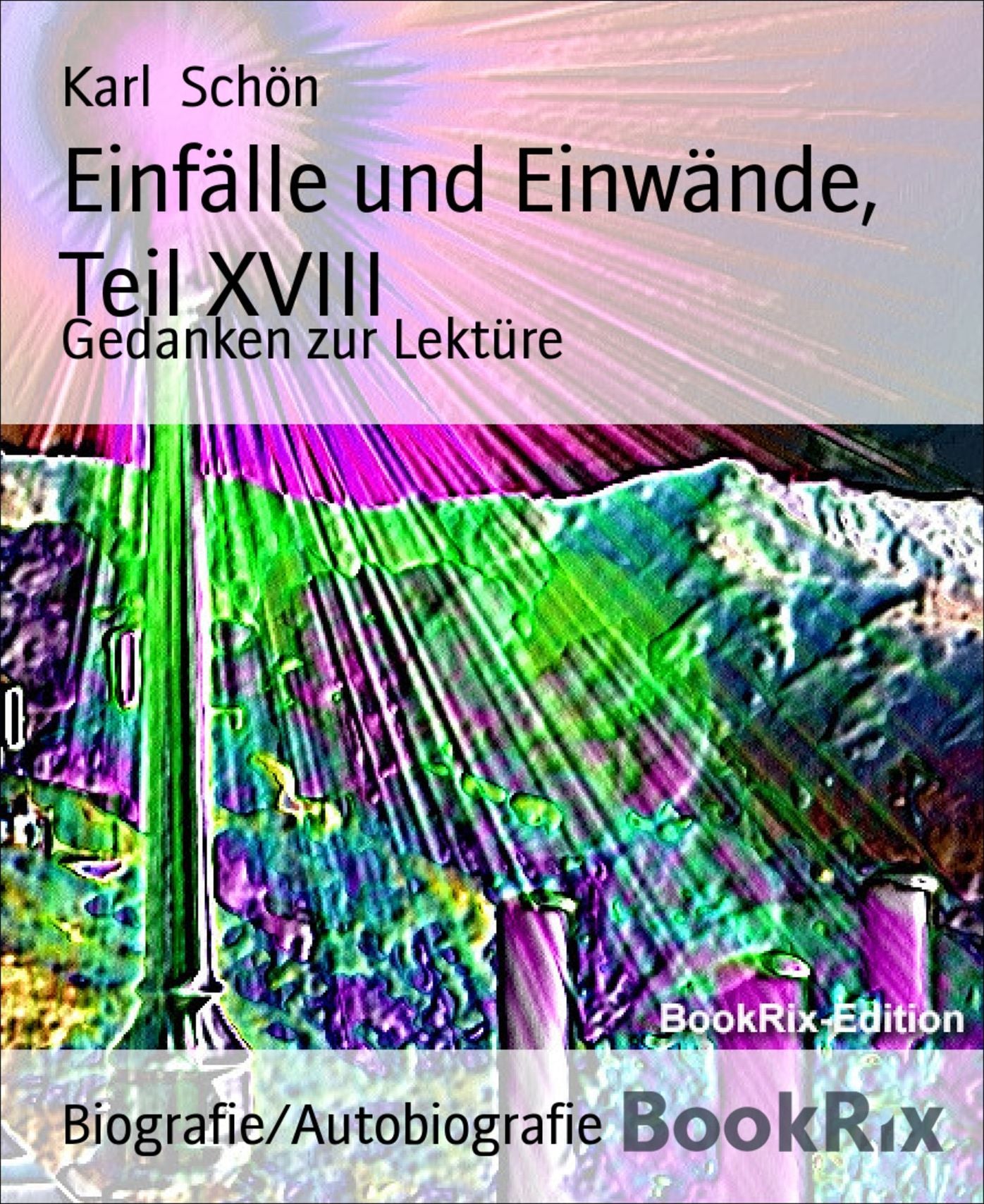 Einfälle und Einwände, Teil XVIII: Gedanken zur Lektüre