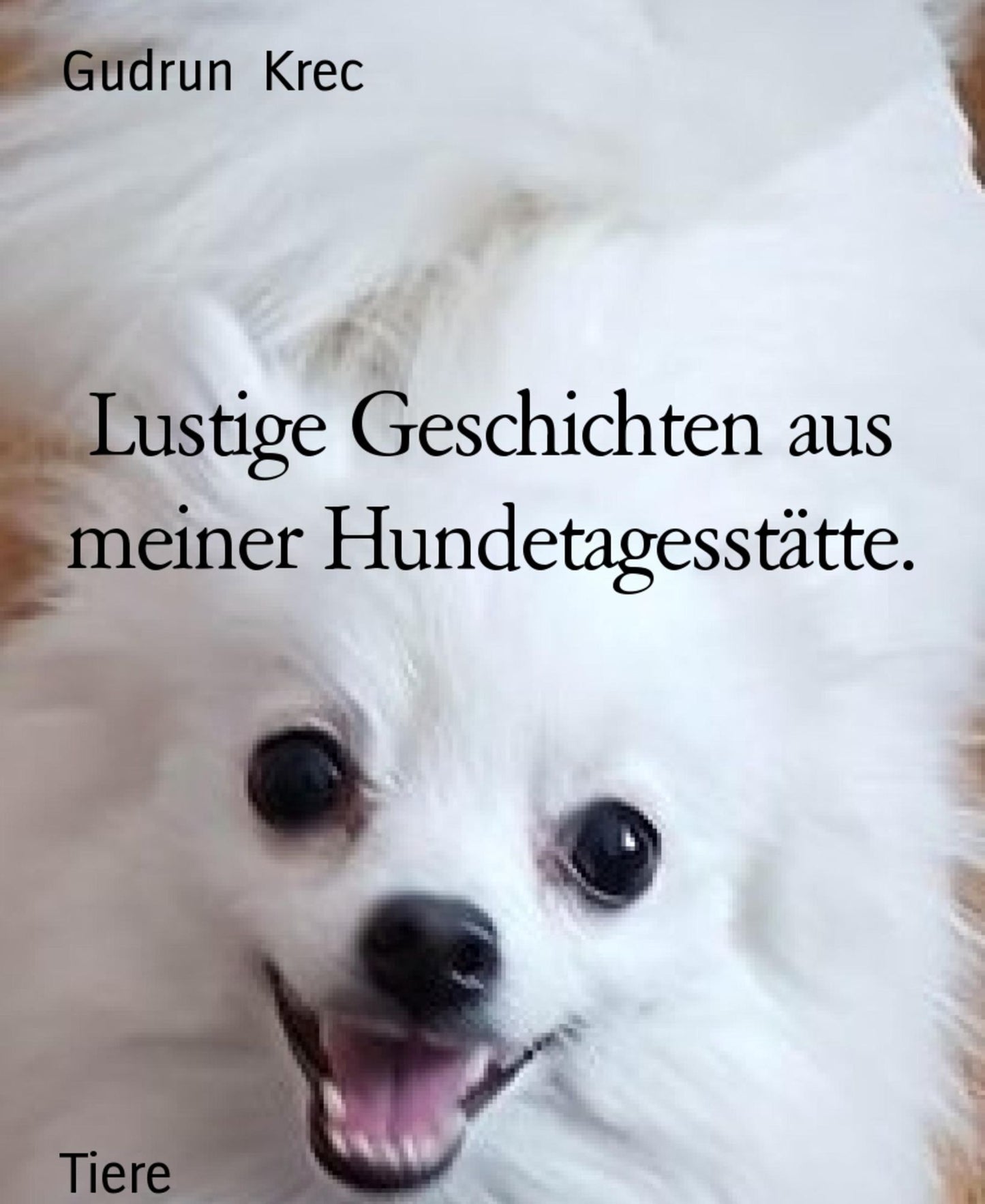 Lustige Geschichten aus meiner Hundetagesstätte