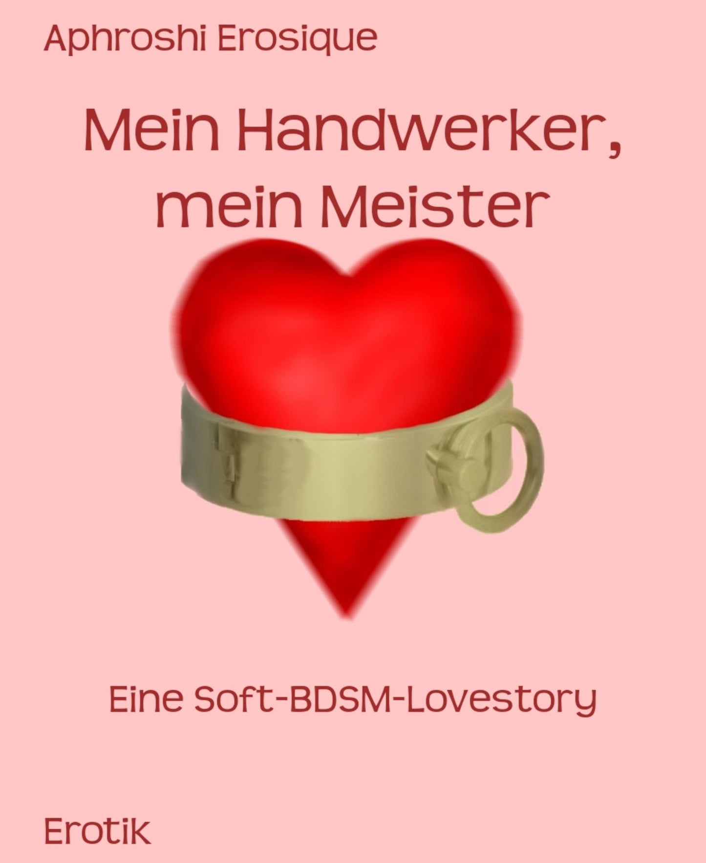 Mein Handwerker, mein Meister: Eine Soft-BDSM-Lovestory - Teil 1