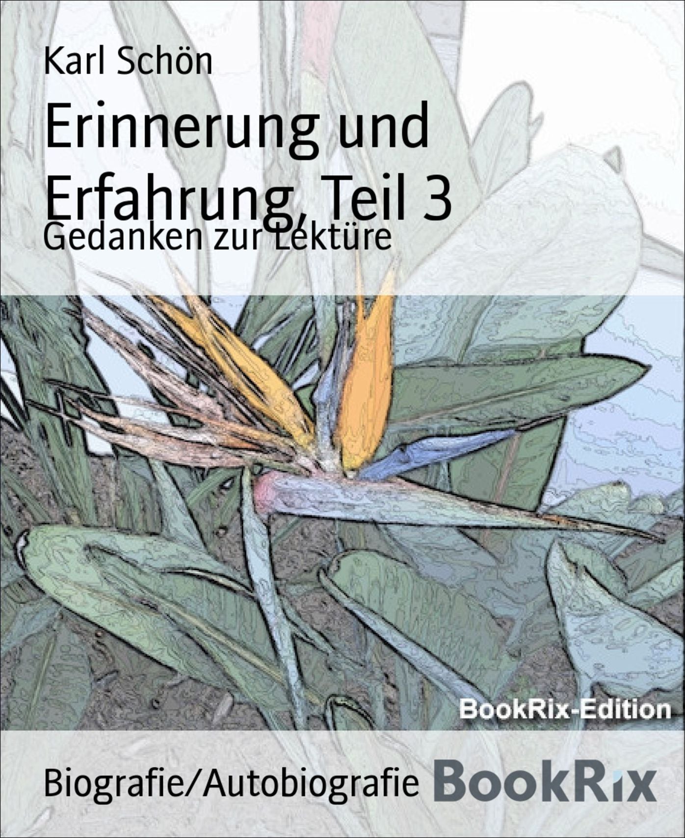 Erinnerung und Erfahrung, Teil 3: Gedanken zur Lektüre