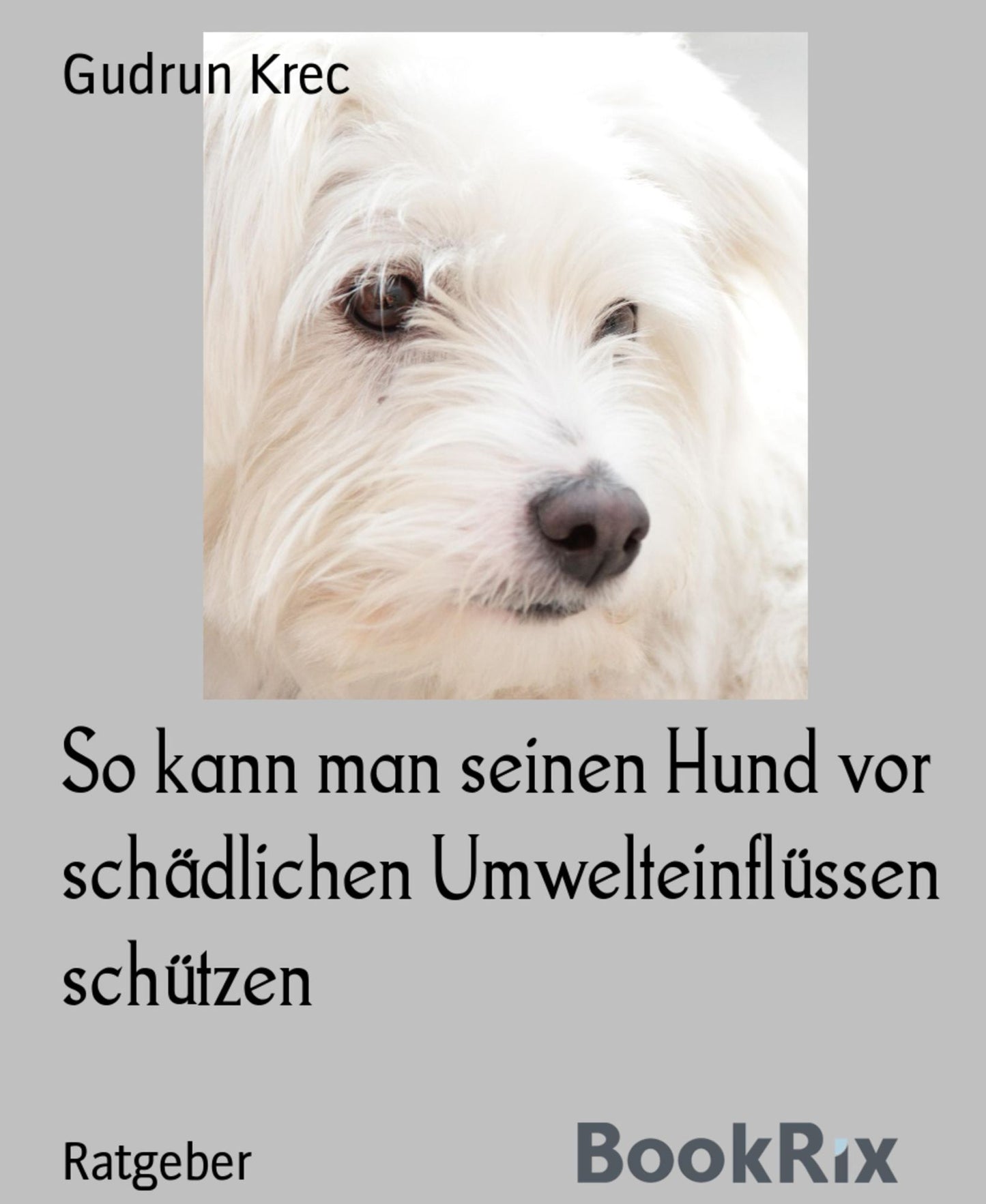 So schützen Sie Ihren Hund vor schädlichen Umwelteinflüssen